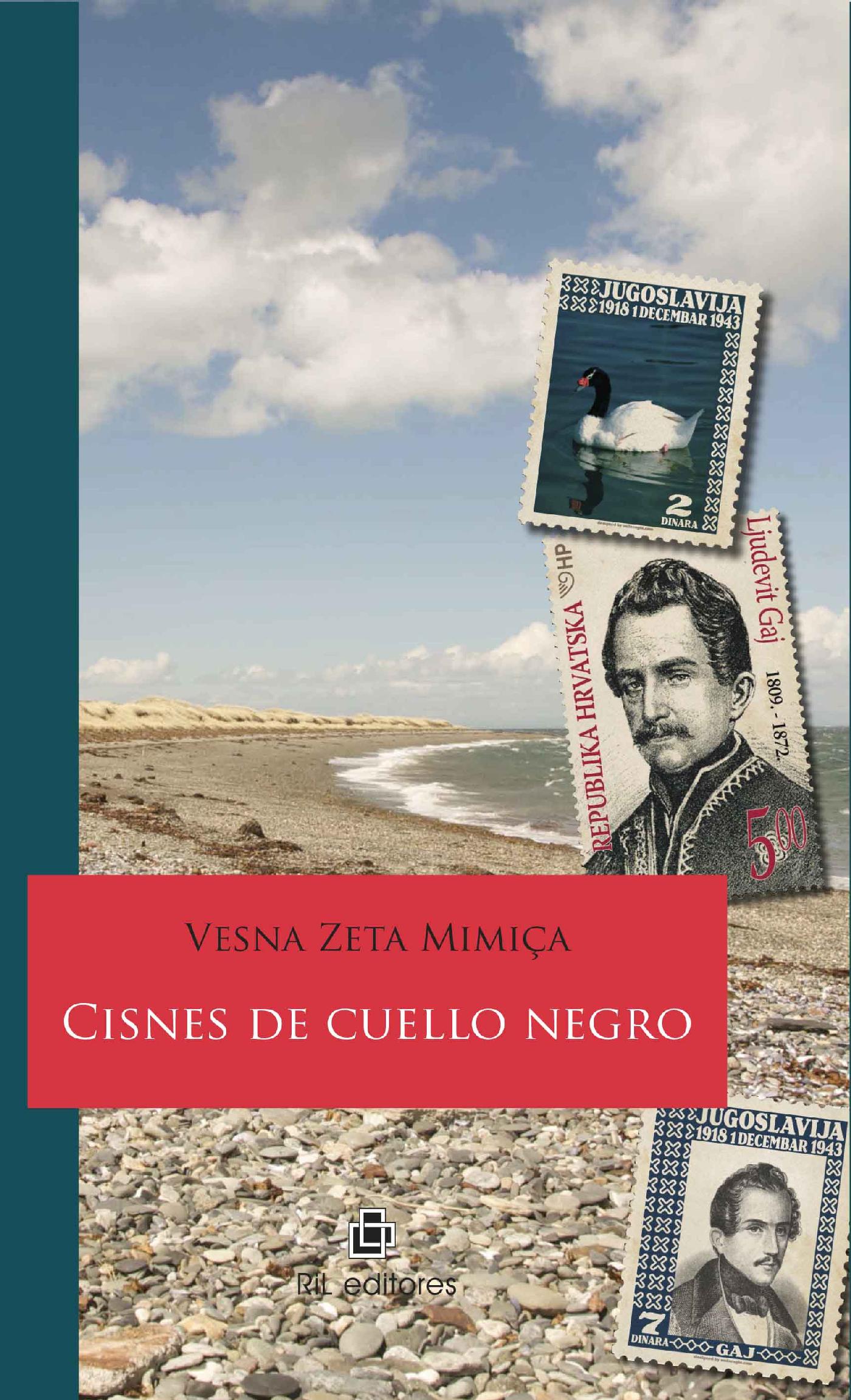 CISNES DE CUELLO NEGRO
