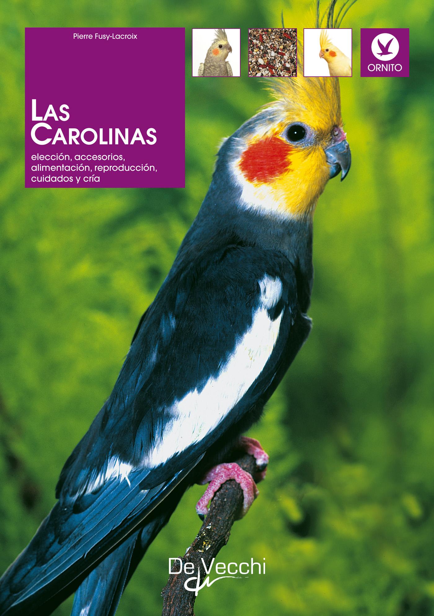 LAS CAROLINAS