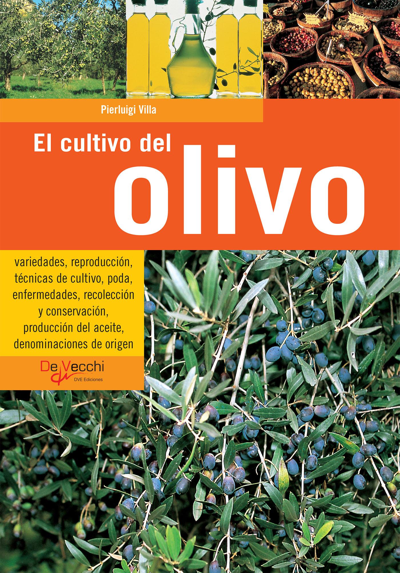 EL CULTIVO DEL OLIVO