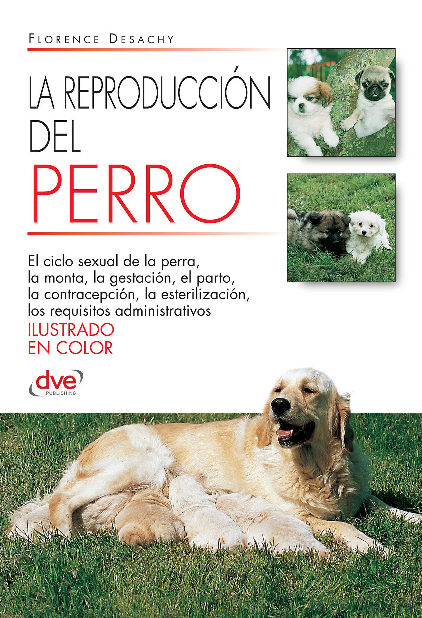 LA REPRODUCCIÓN DEL PERRO