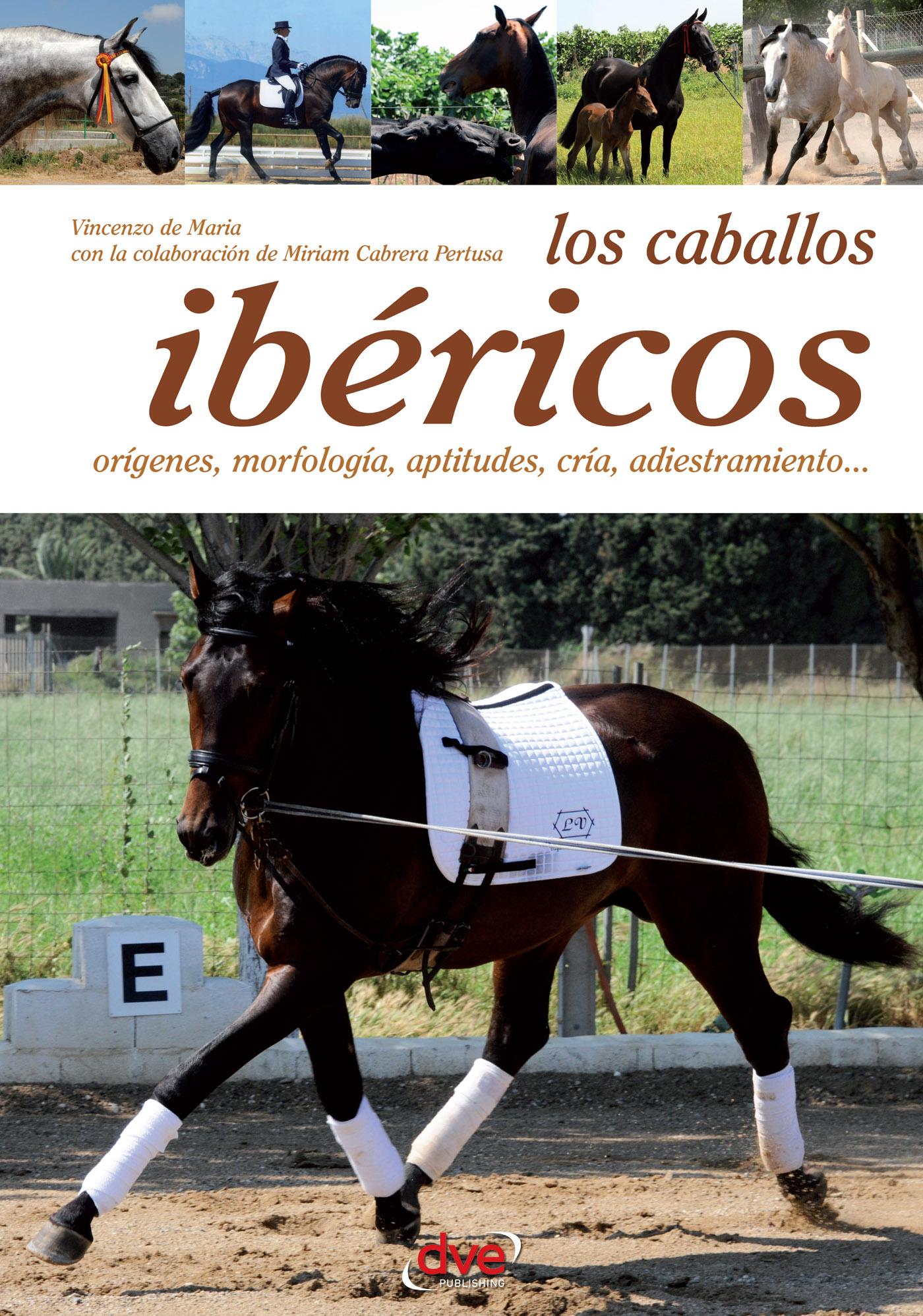 LOS CABALLOS IBÉRICOS