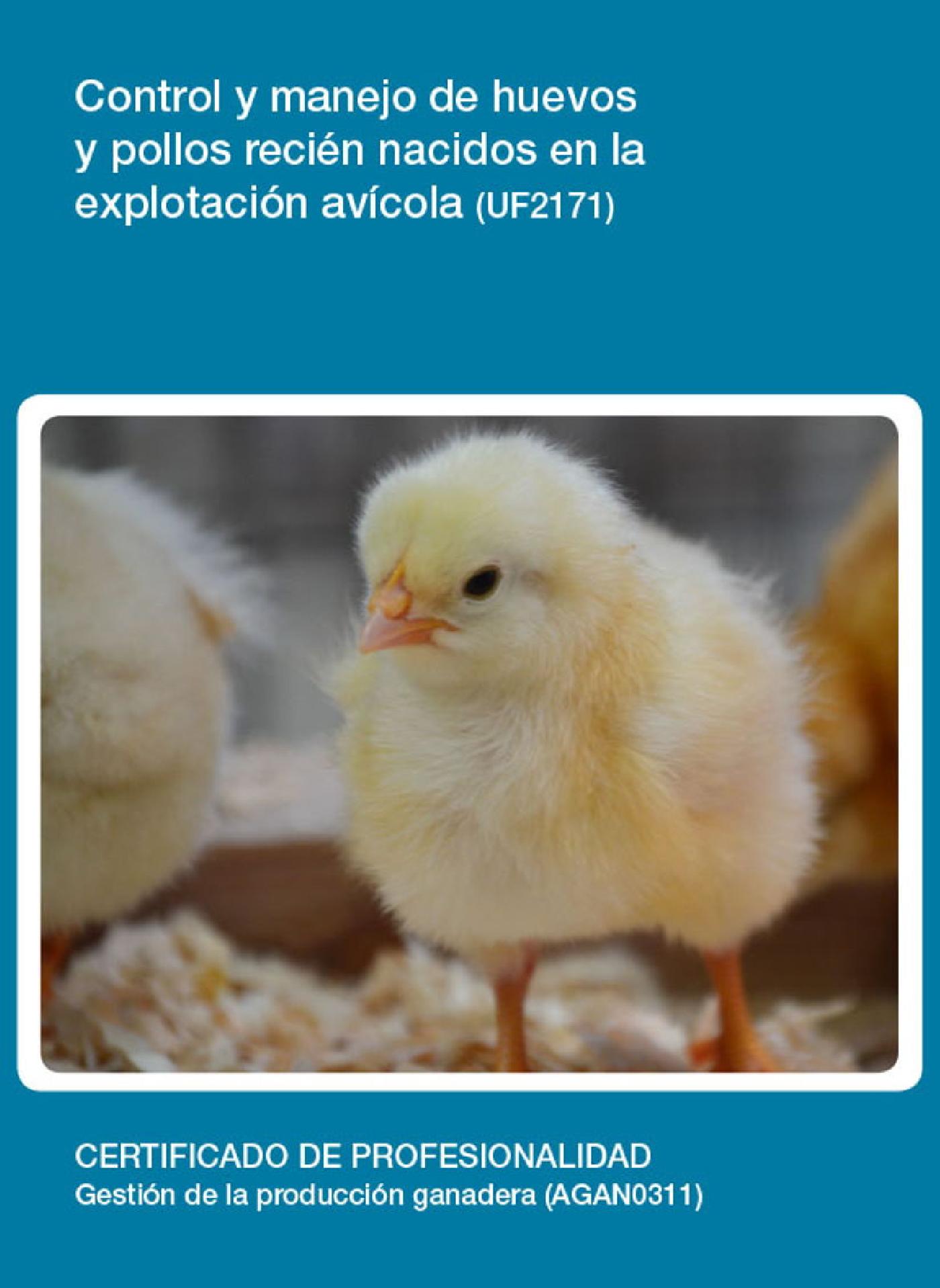 UF2171 - CONTROL Y MANEJO DE HUEVOS Y POLLOS RECIÉN NACIDOS EN LA EXPLOTACIÓN AVÍCOLA