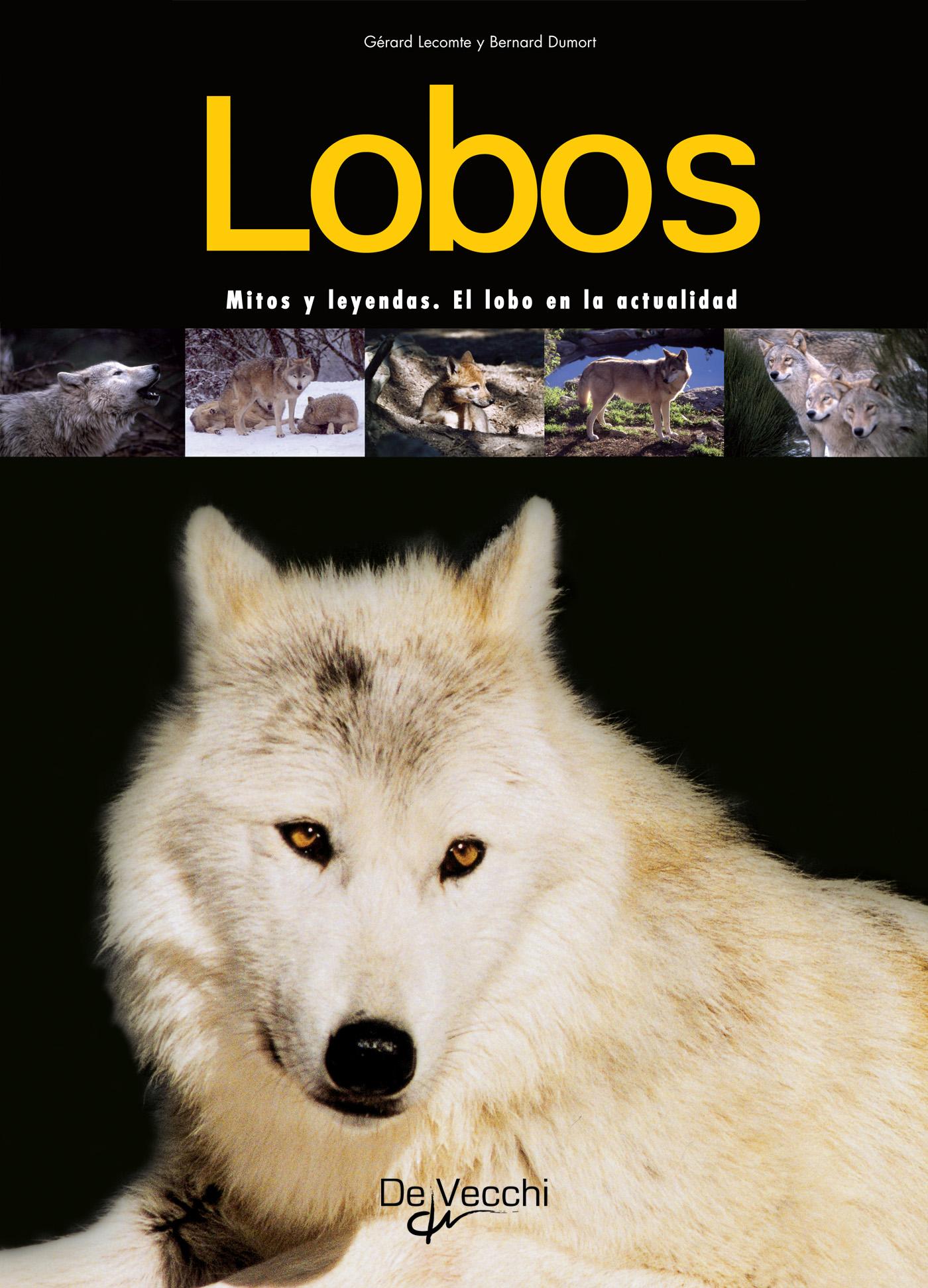 LOBOS. MITOS Y LEYENDAS. EL LOBO EN LA ACTUALIDAD