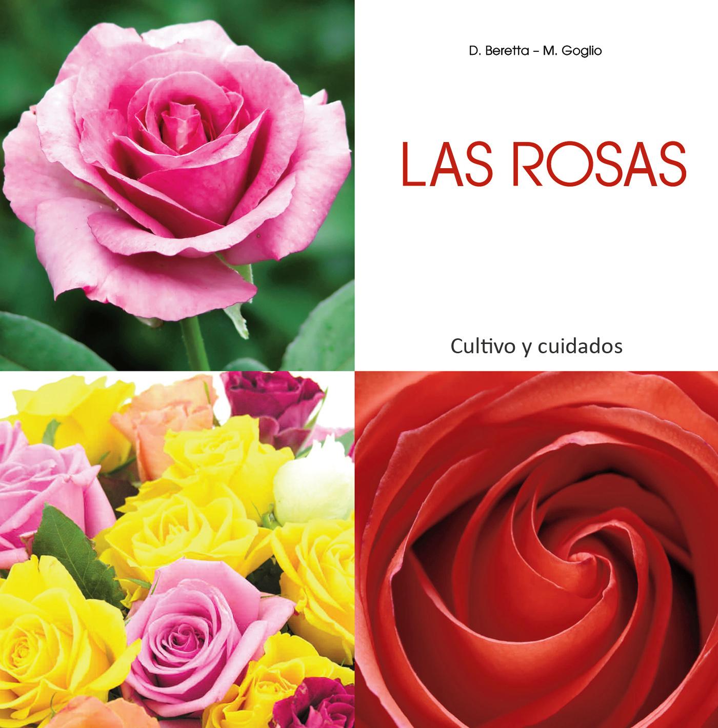 LAS ROSAS - CULTIVO Y CUIDADOS