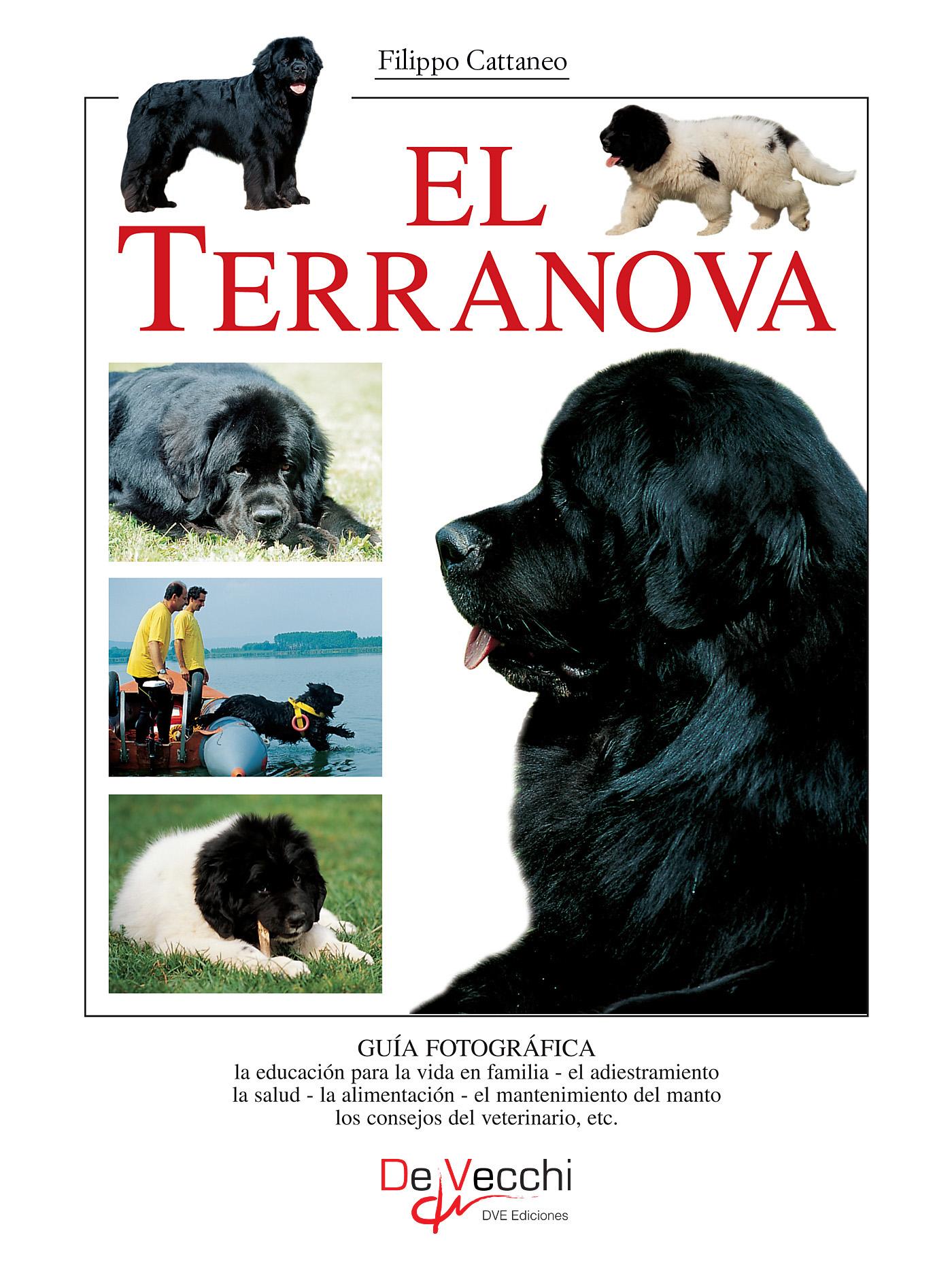 EL TERRANOVA