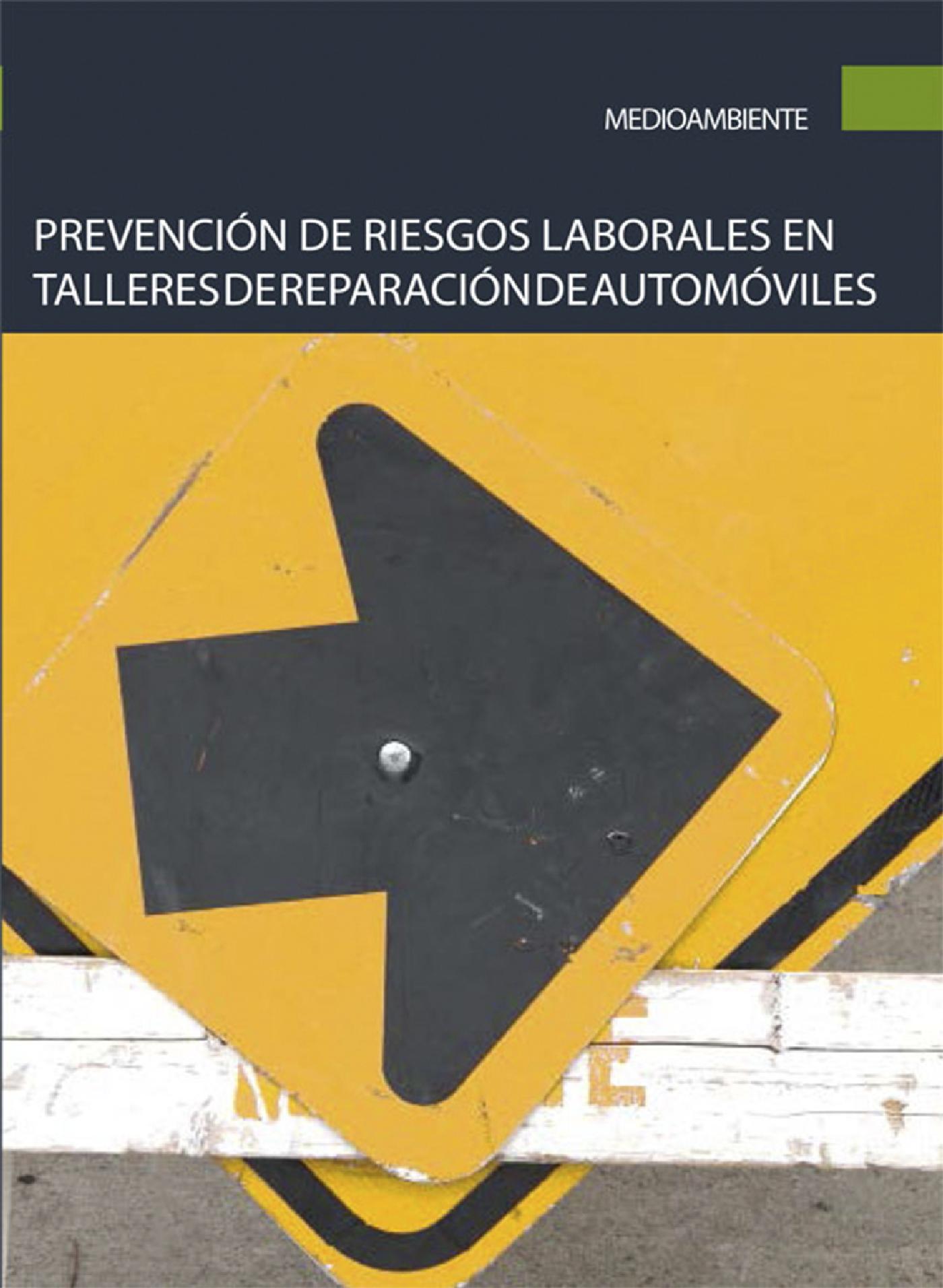 PREVENCIÓN DE RIESGOS LABORALES EN TALLERES DE REPARACIÓN DE AUTOMÓVILES