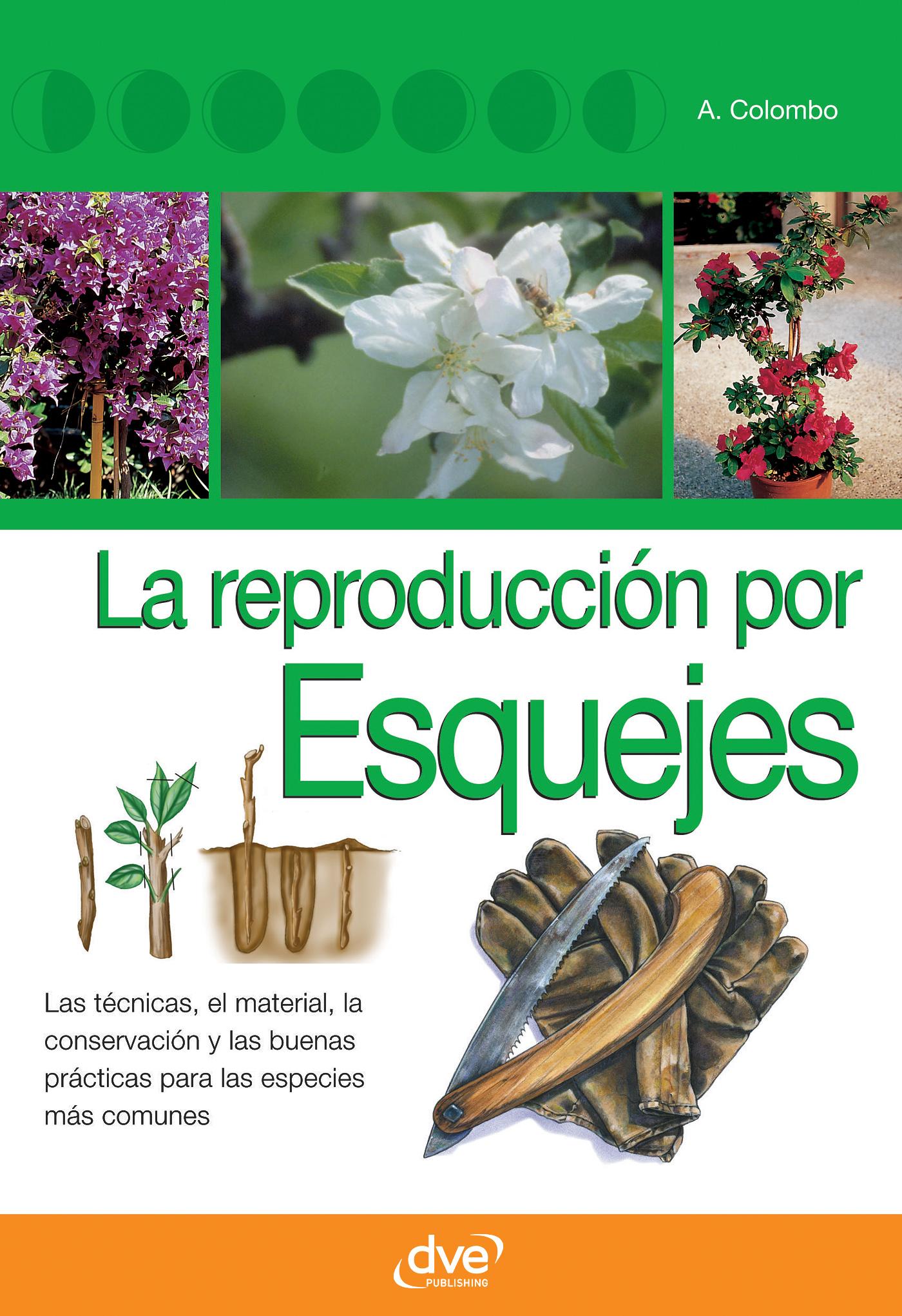 LA REPRODUCCIÓN POR ESQUEJES