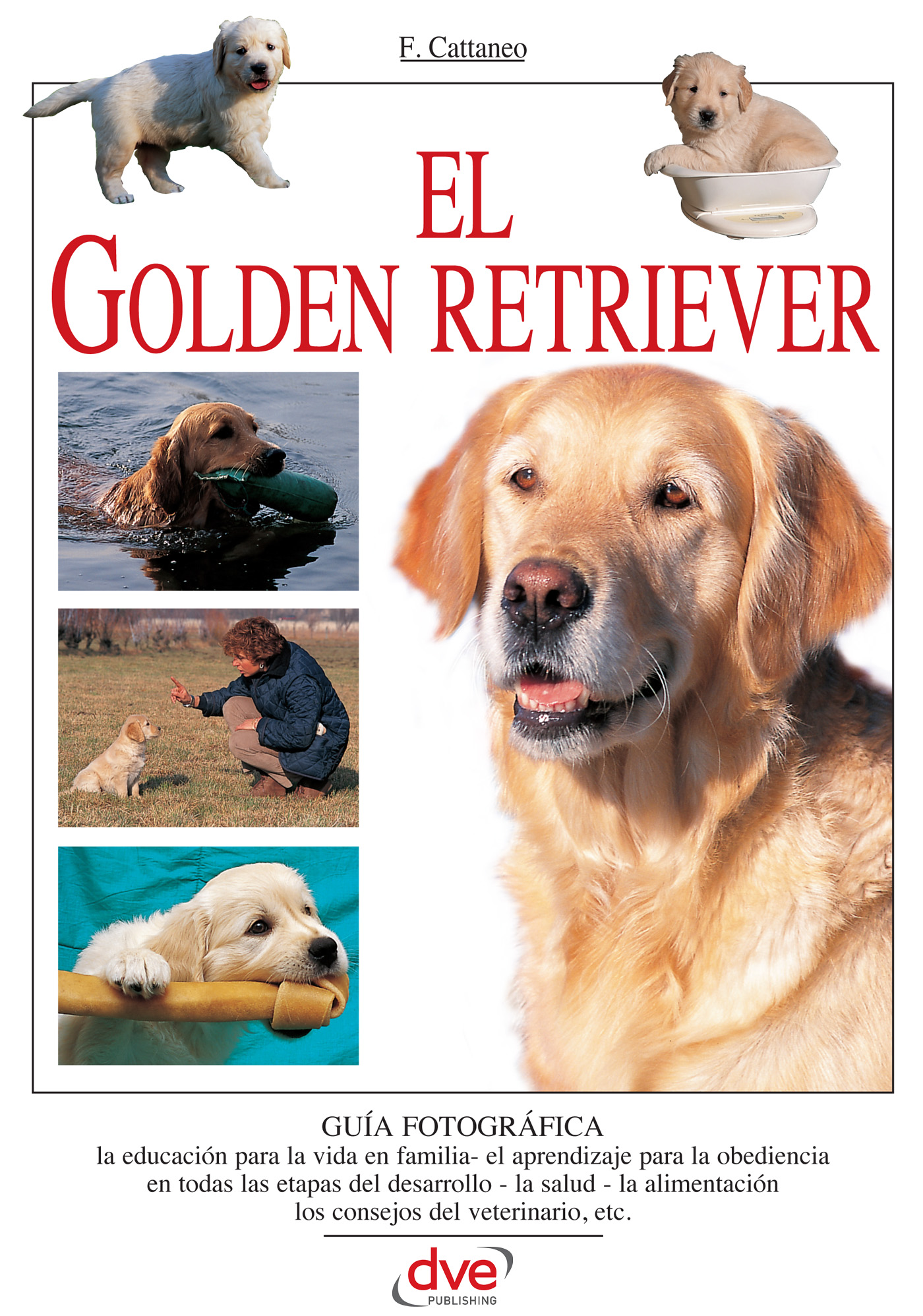EL GOLDEN RETRIEVER