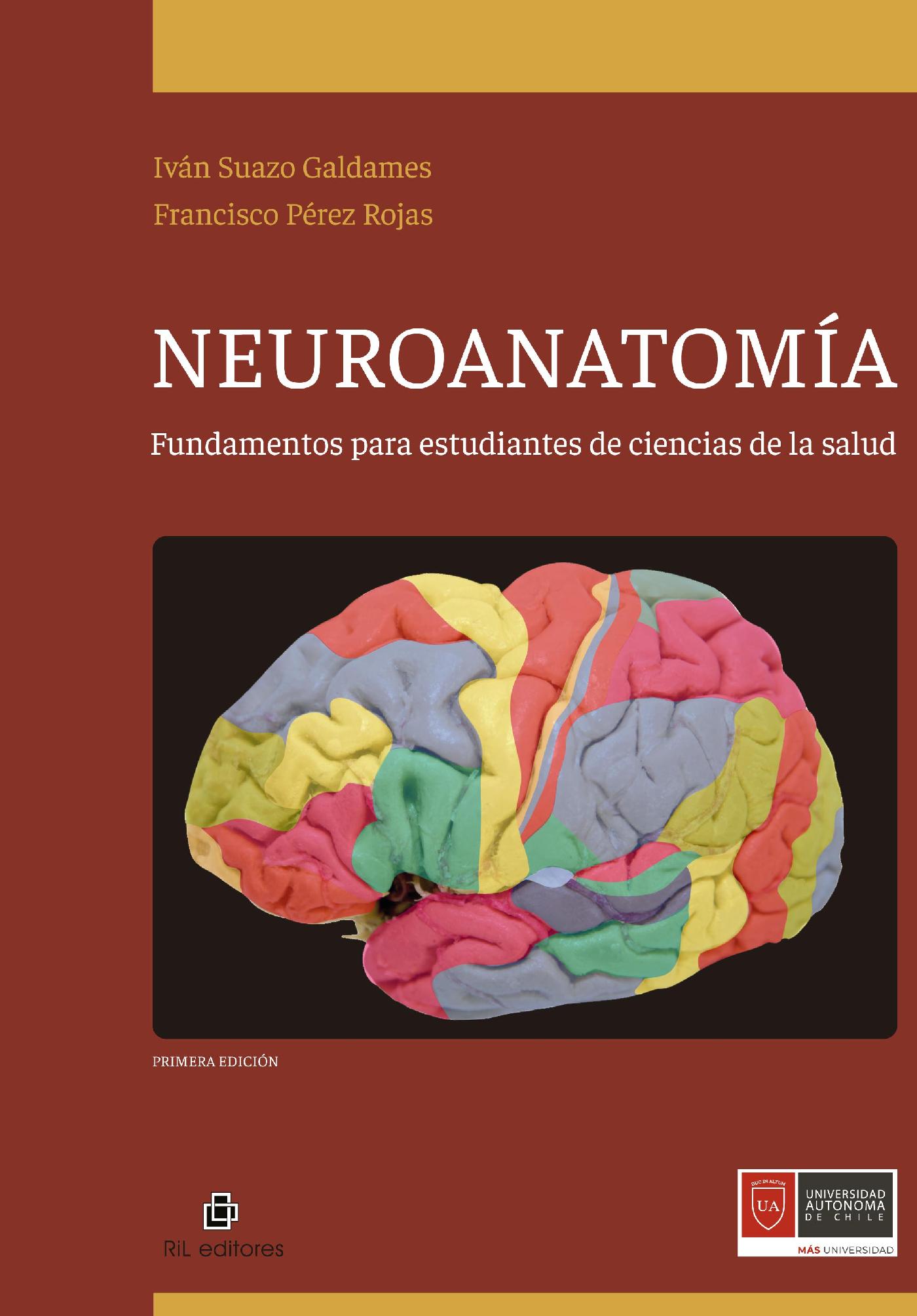 NEUROANATOMÍA: FUNDAMENTOS PARA ESTUDIANTES DE CIENCIAS DE LA SALUD