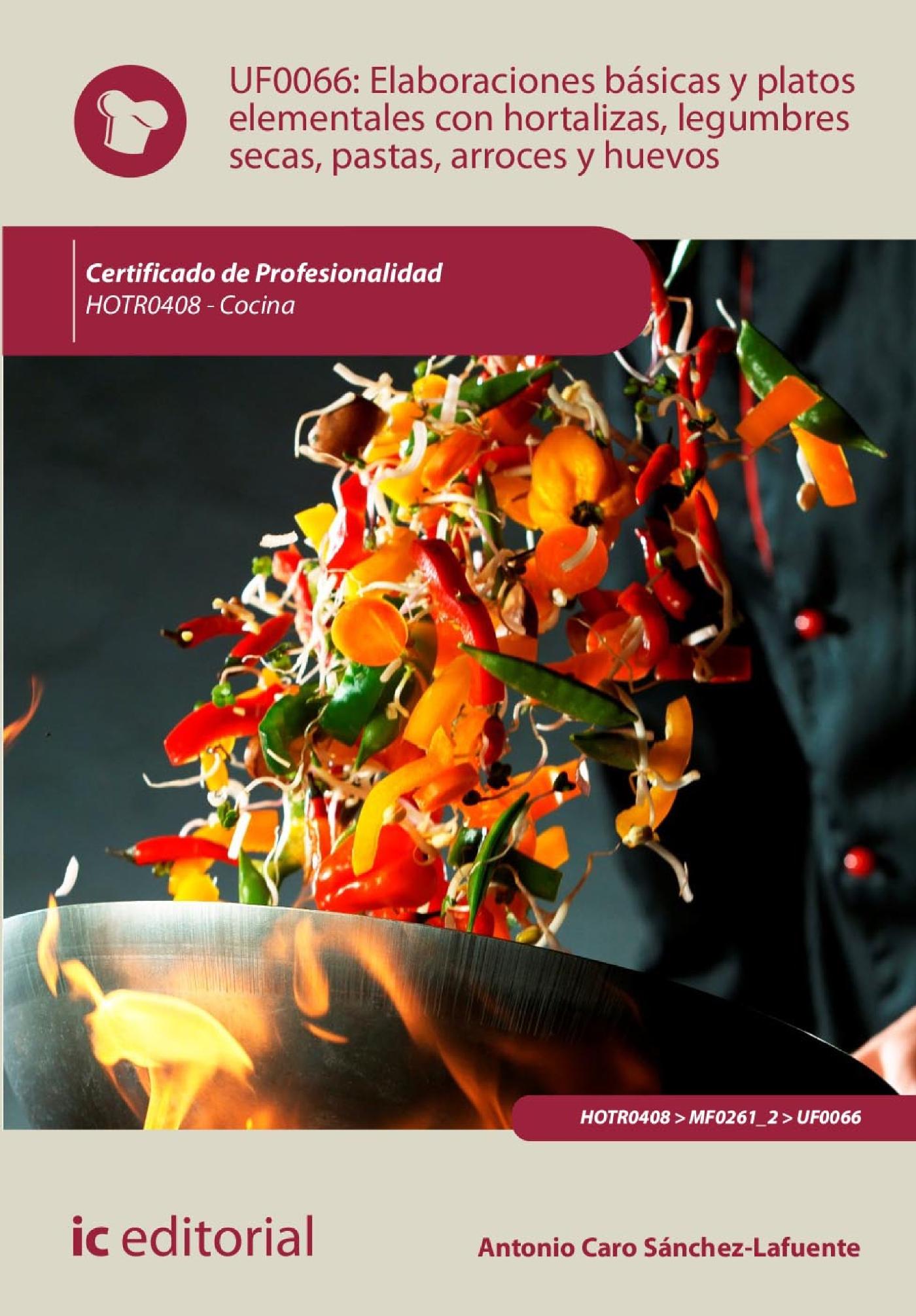 ELABORACIONES BÁSICAS Y PLATOS ELEMENTALES CON HORTALIZAS, LEGUMBRES SECAS, PASTAS, ARROCES Y HUEVOS . HOTR0408 