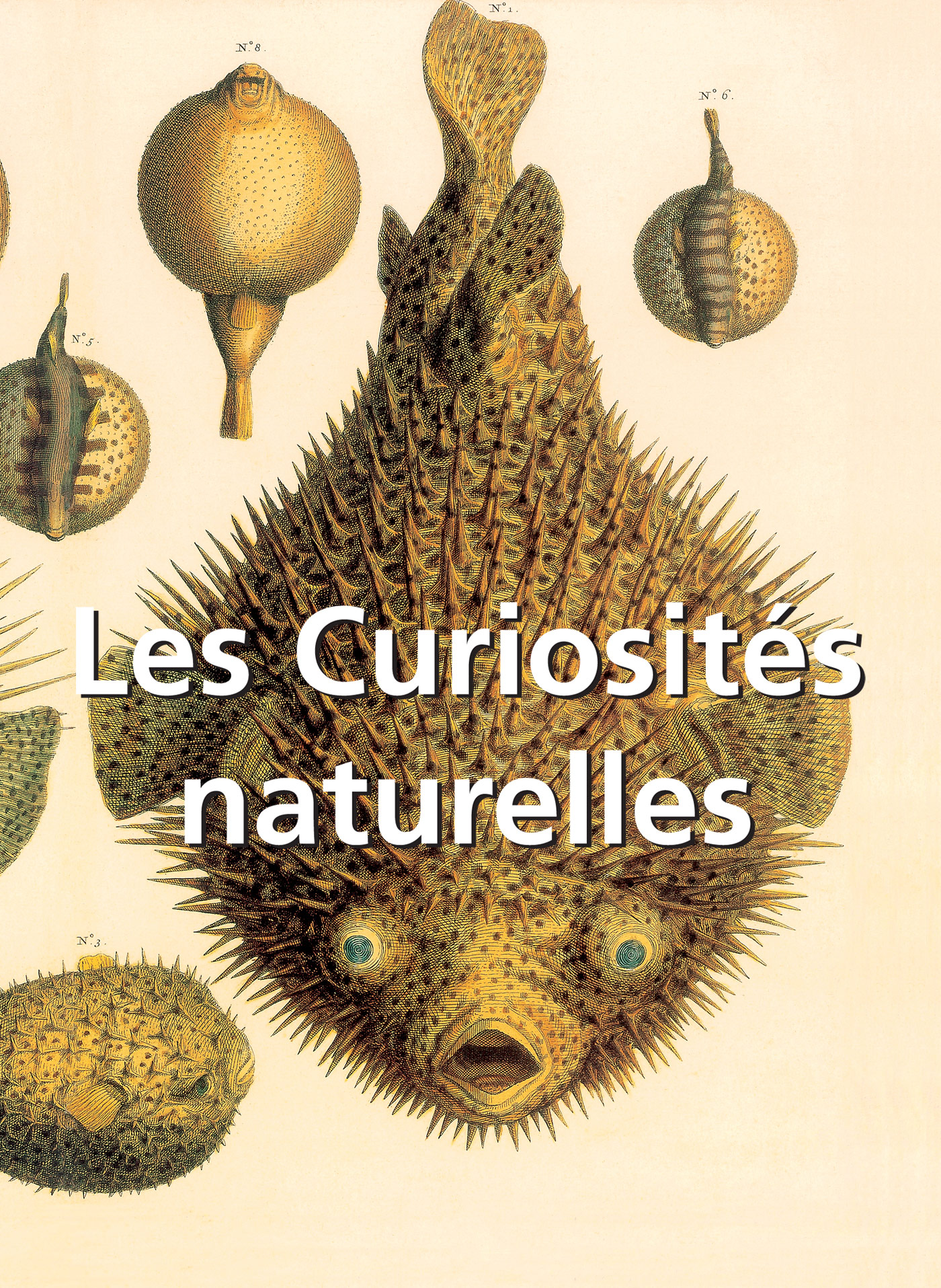 LES CURIOSITÉS NATURELLES