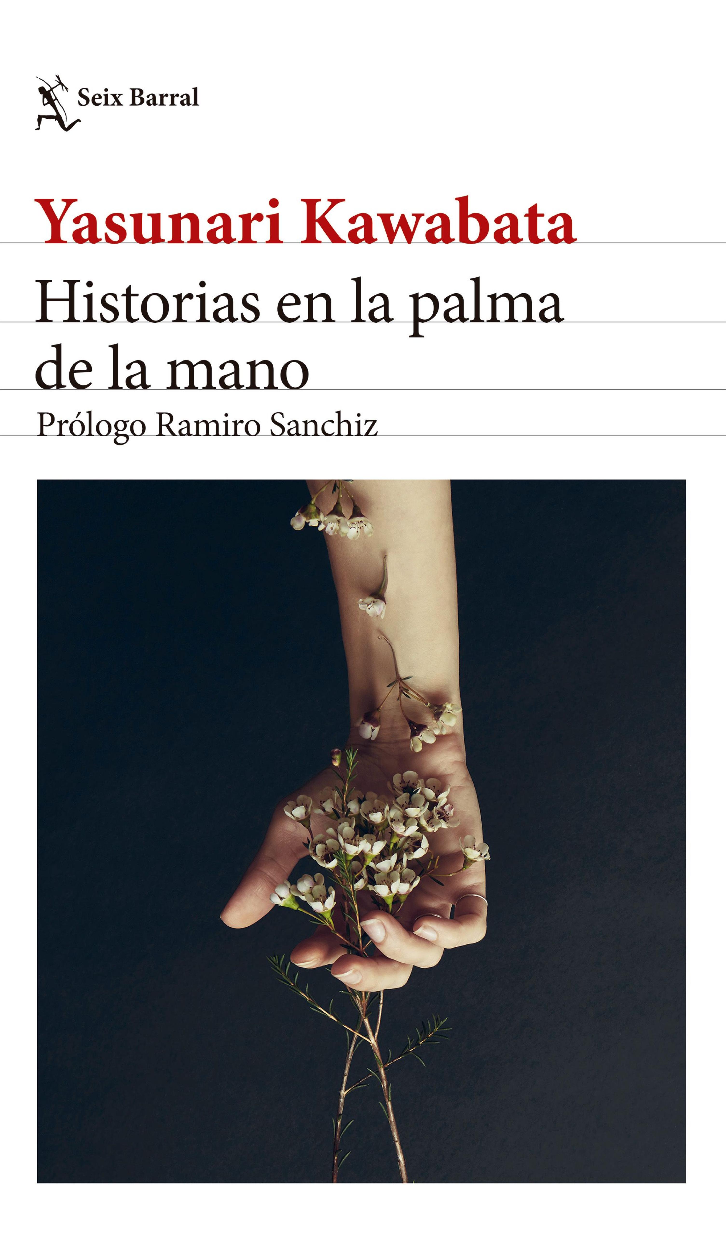 HISTORIAS EN LA PALMA DE LA MANO. EDICIÓN 2024