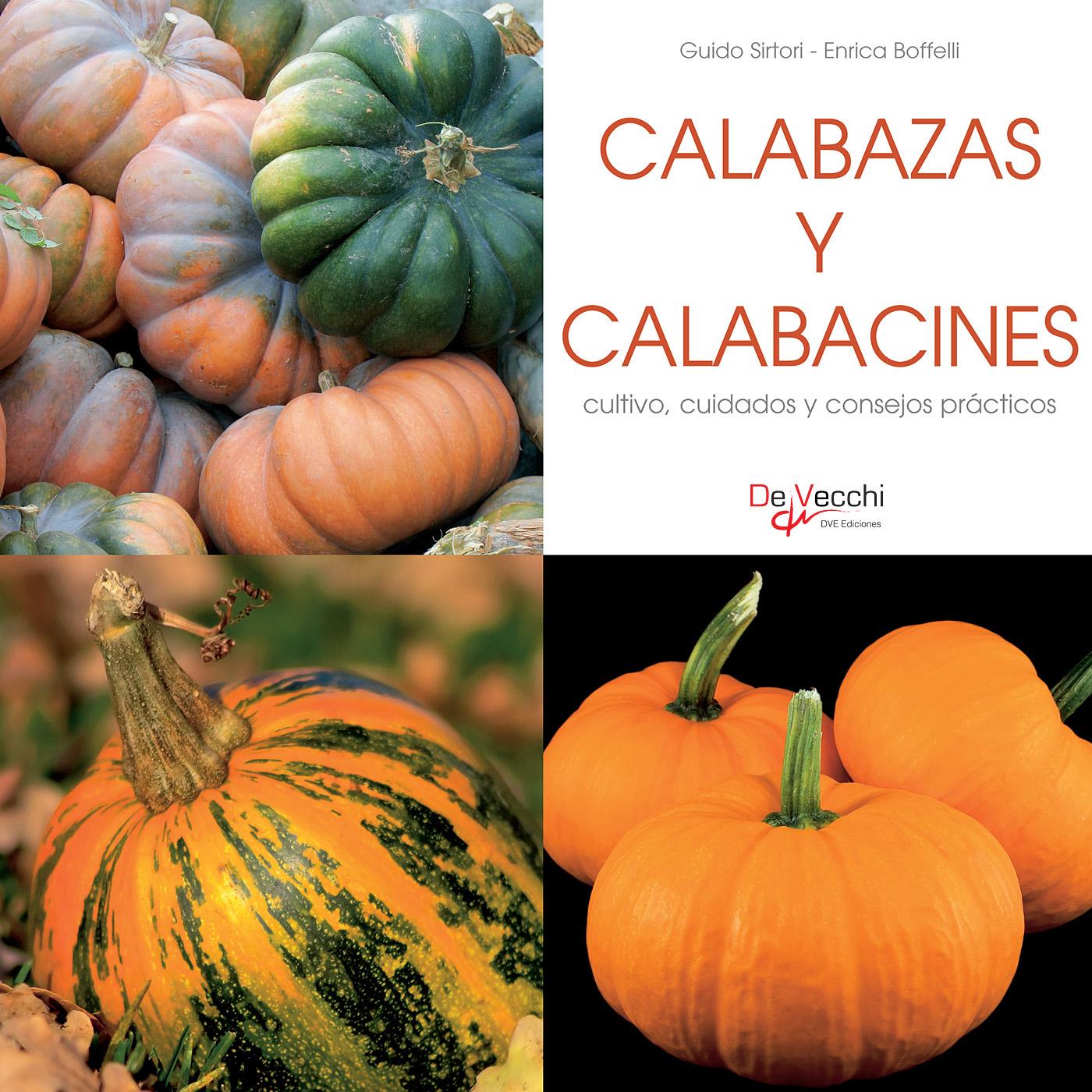 CALABAZAS Y CALABACINES - CULTIVO, CUIDADOS Y CONDEJOS PRÁCTICOS