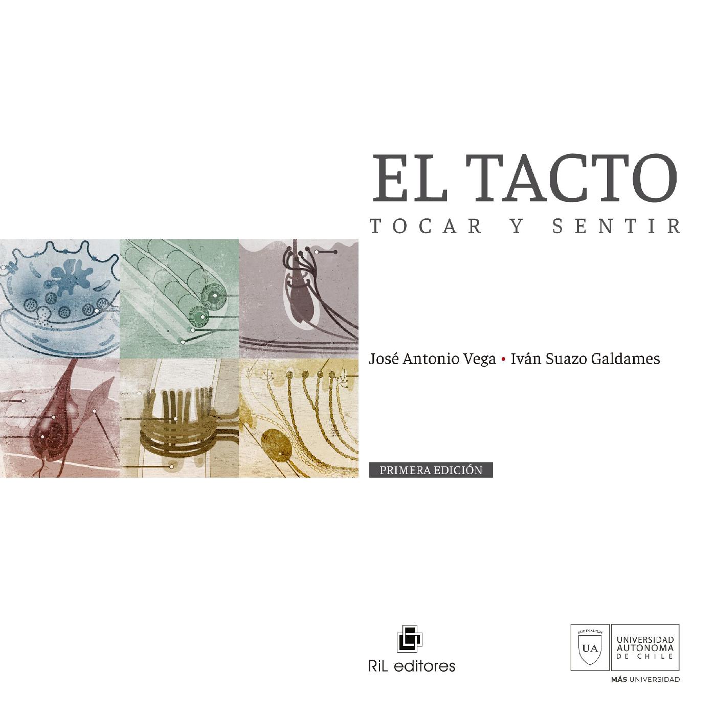 EL TACTO, TOCAR Y SENTIR