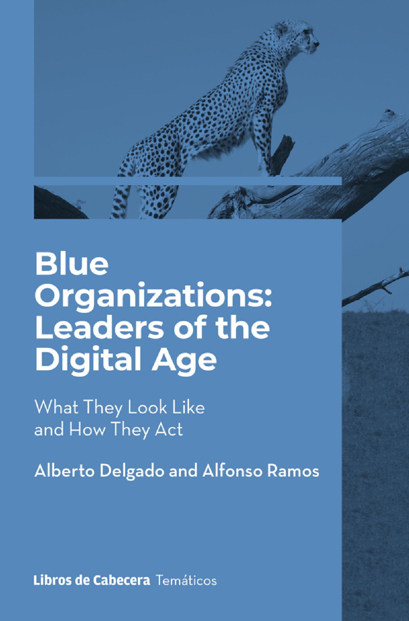 BLUE ORGANIZATIONS
