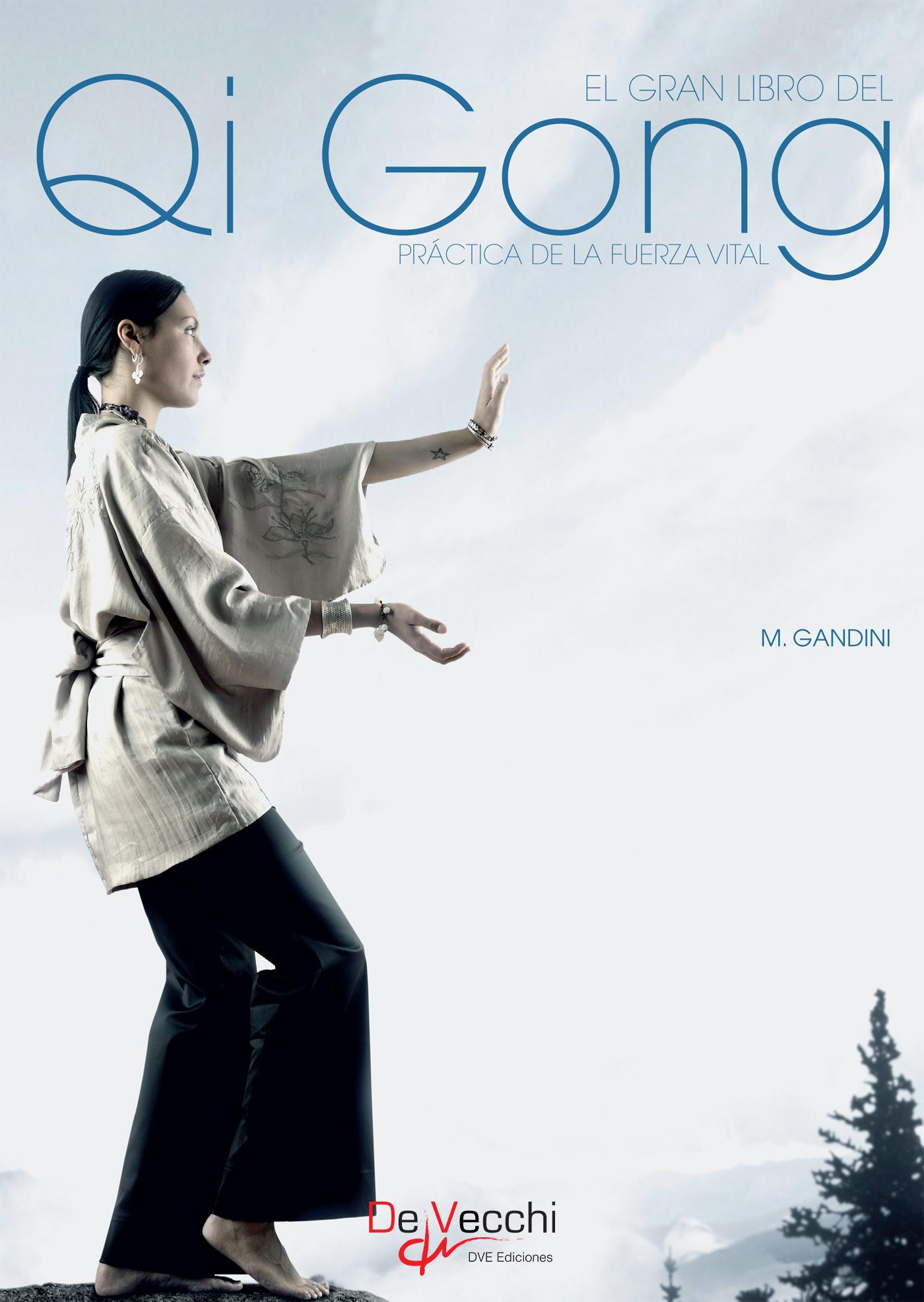 EL GRAN LIBRO DEL QI GONG