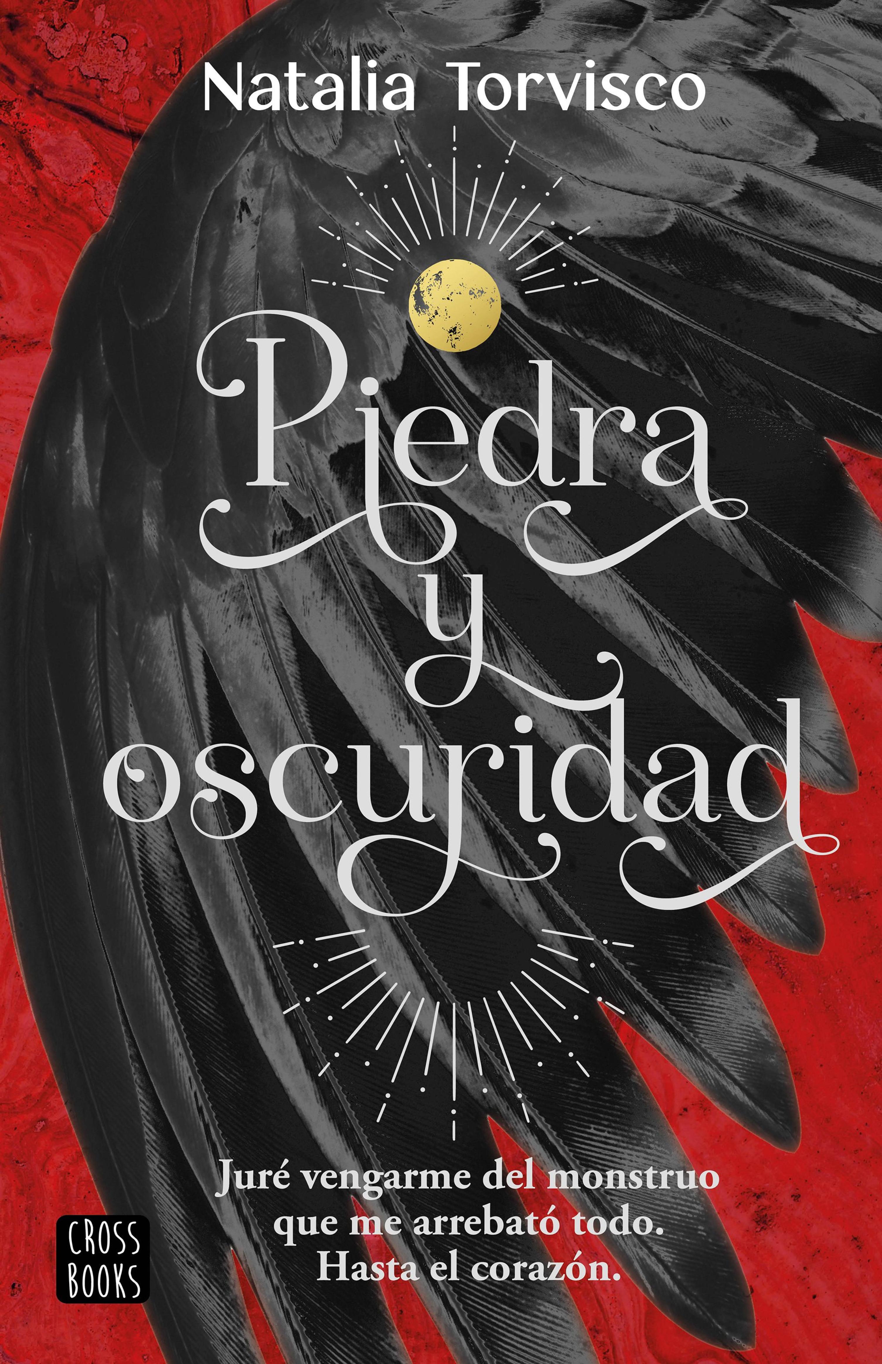 PIEDRA Y OSCURIDAD