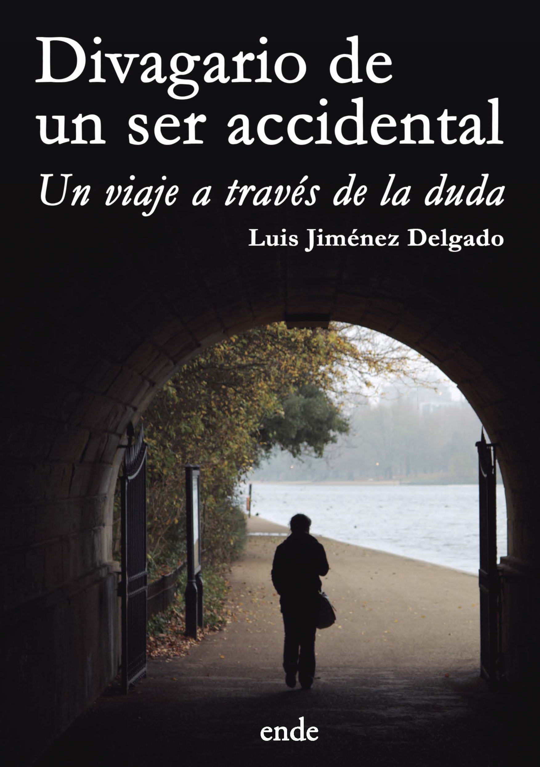 DIVAGARIO DE UN SER ACCIDENTAL