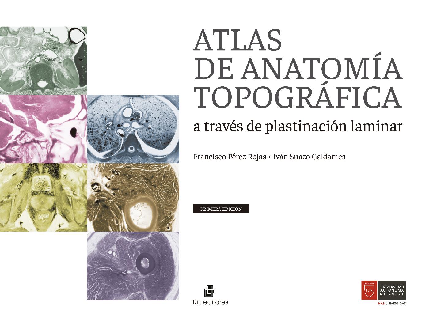 ATLAS DE ANATOMÍA TOPOGRÁFICA A TRAVÉS DE PLASTINACIÓN LAMINAR