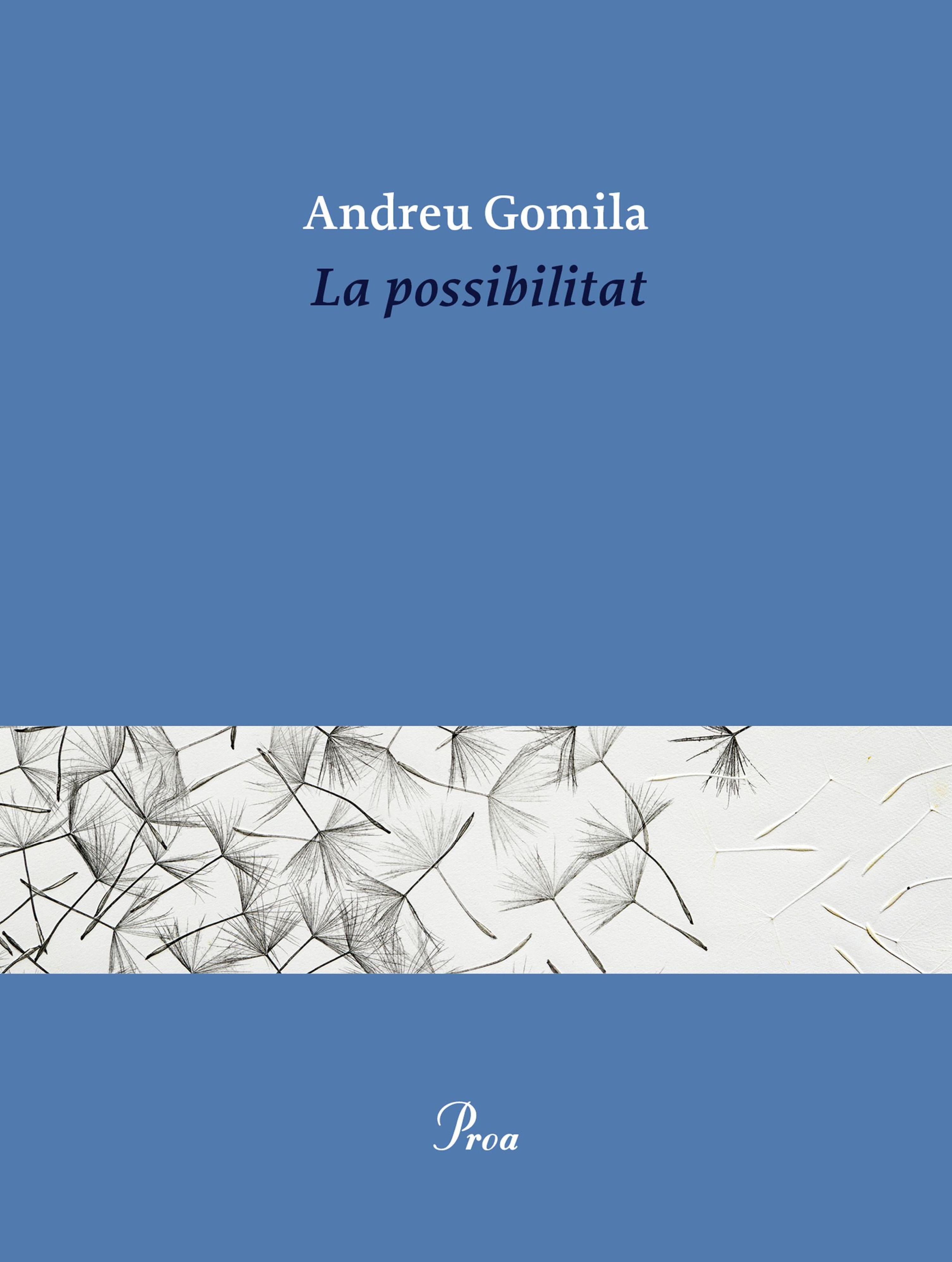 LA POSSIBILITAT