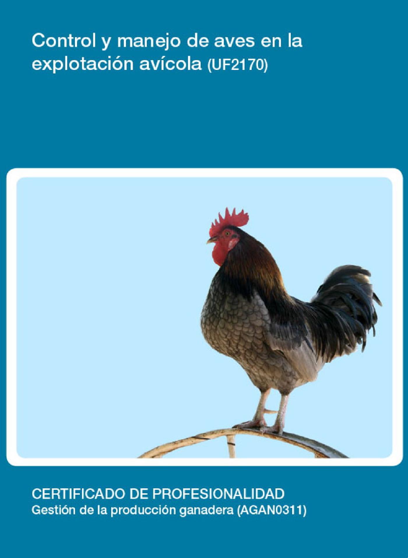 UF2170 - CONTROL Y MANEJO DE AVES EN LA EXPLOTACIÓN AVÍCOLA