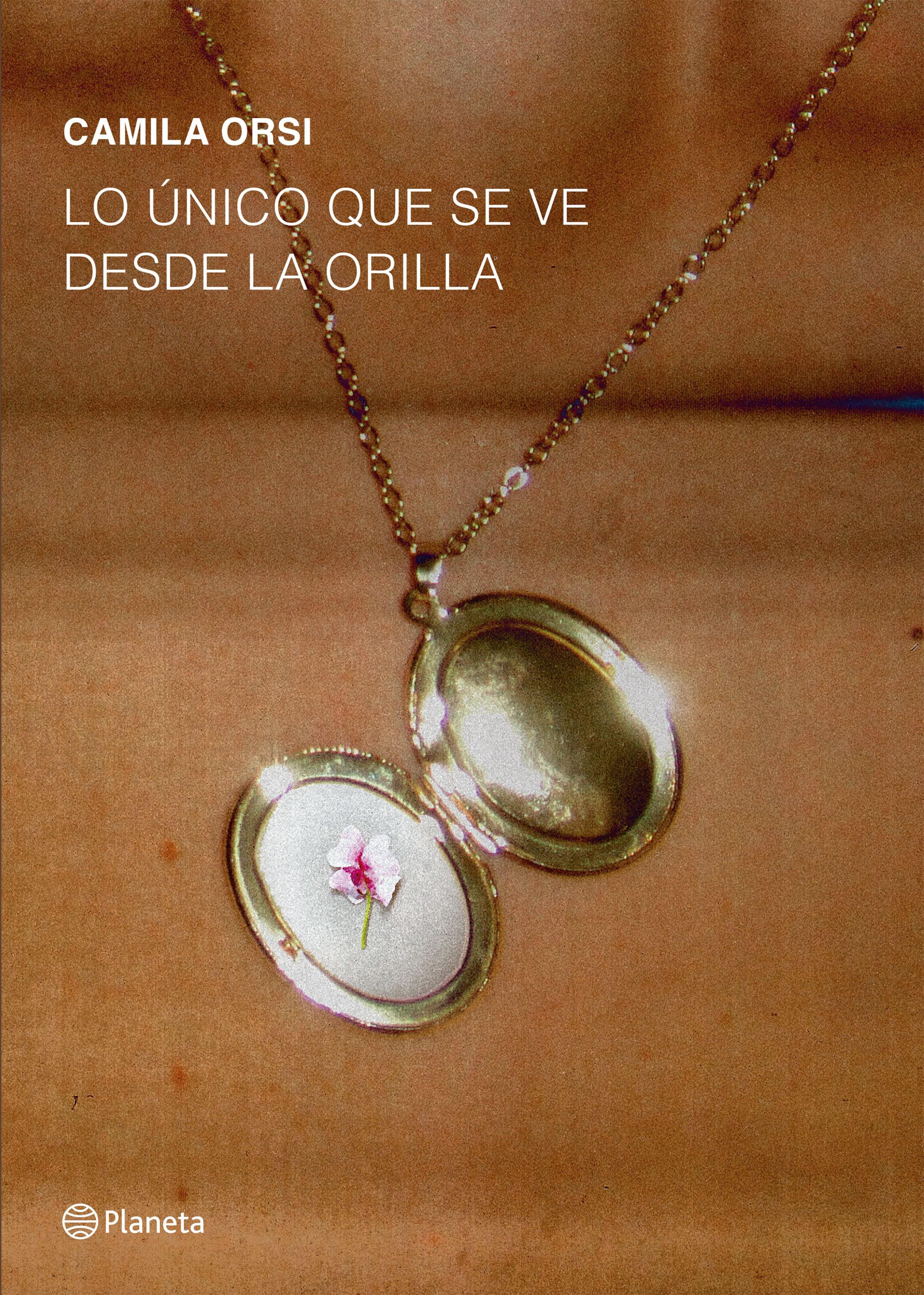 LO ÚNICO QUE SE VE DESDE LA ORILLA