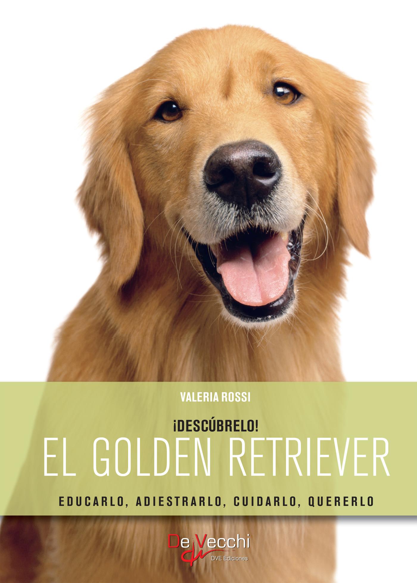 EL GOLDEN RETRIEVER