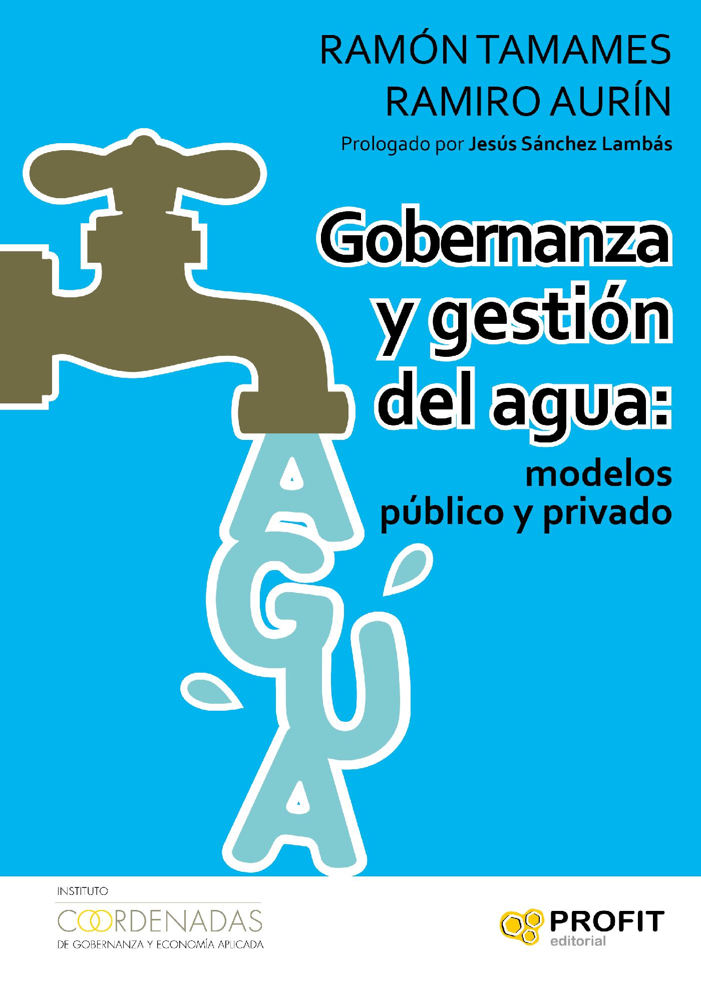 GOBERNANZA Y GESTION DEL AGUA: MODELOS PÚBLICO Y PRIVADO. EBOOK