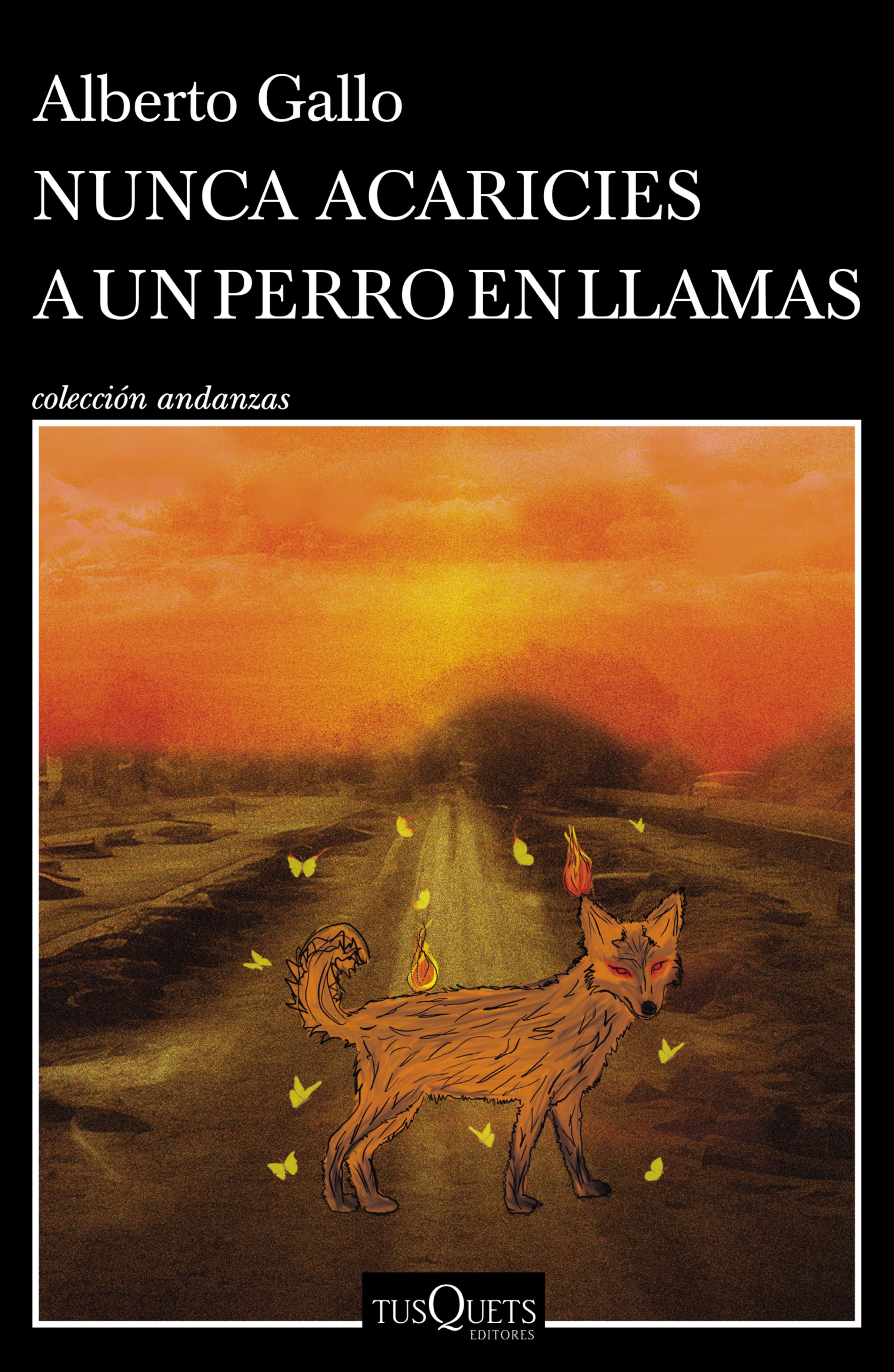 NUNCA ACARICIES A UN PERRO EN LLAMAS