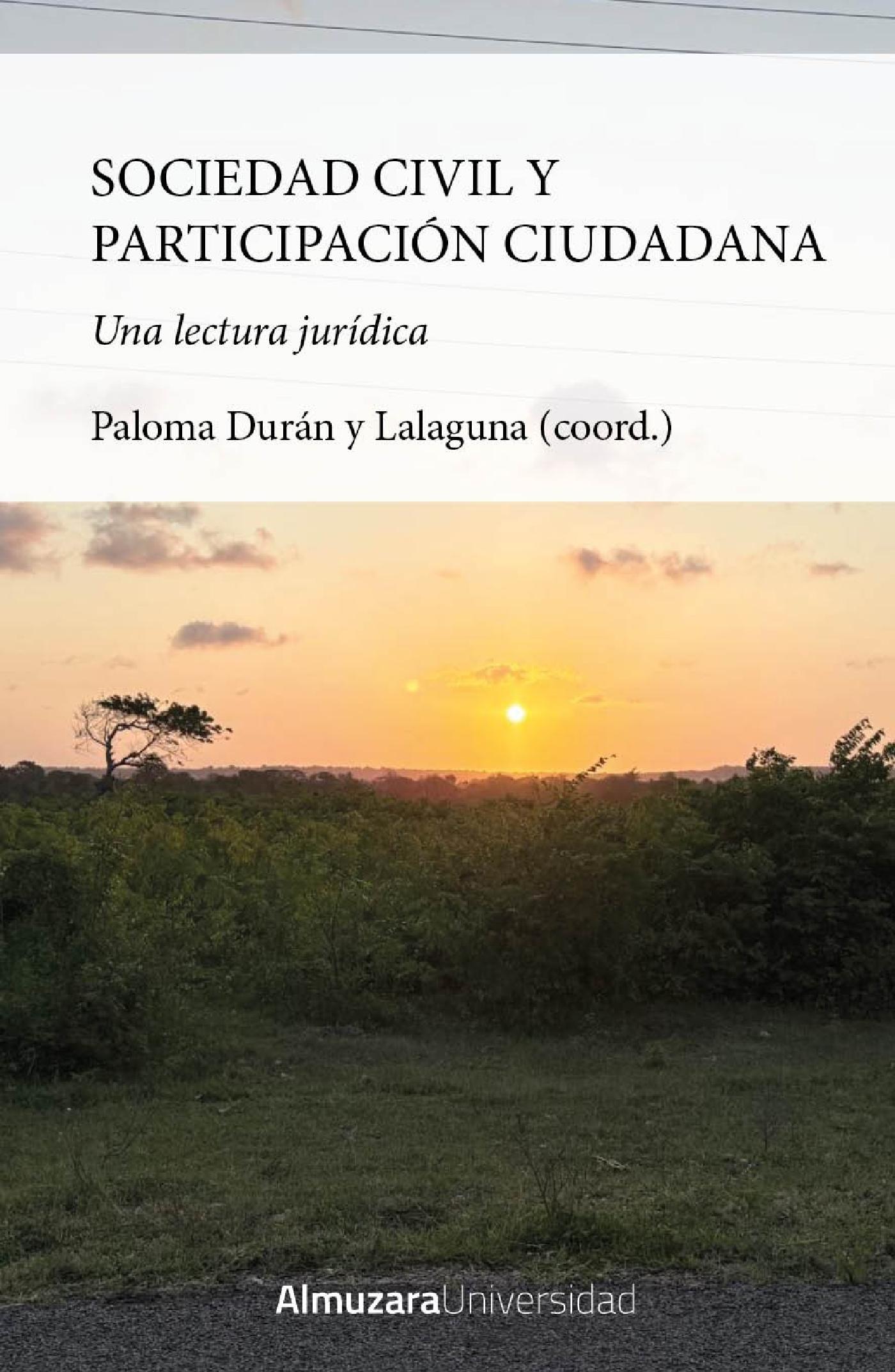 SOCIEDAD CIVIL Y PARTICIPACIÓN CIUDADANA