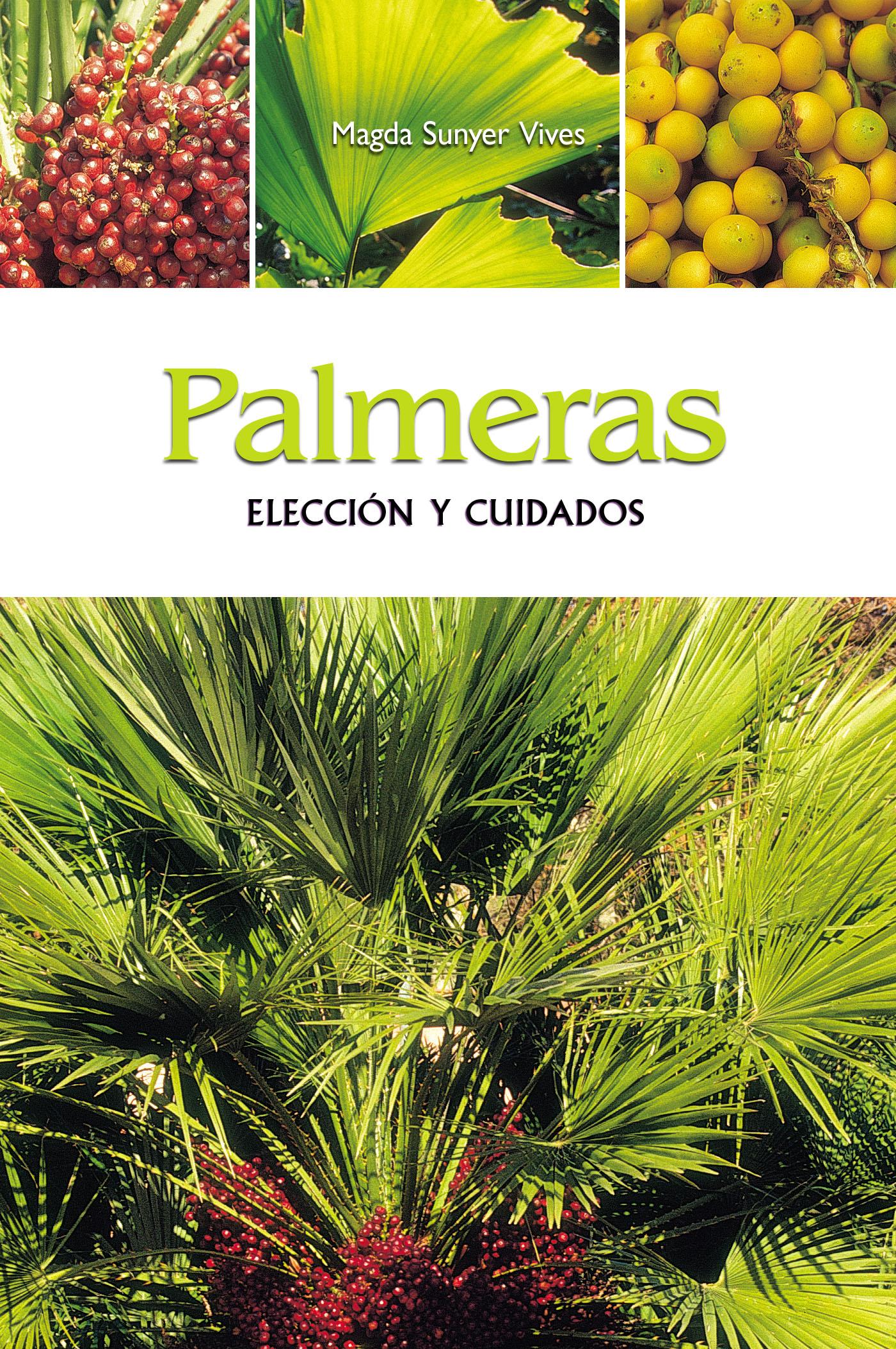 PALMERAS - ELECCIÓN Y CUIDADOS