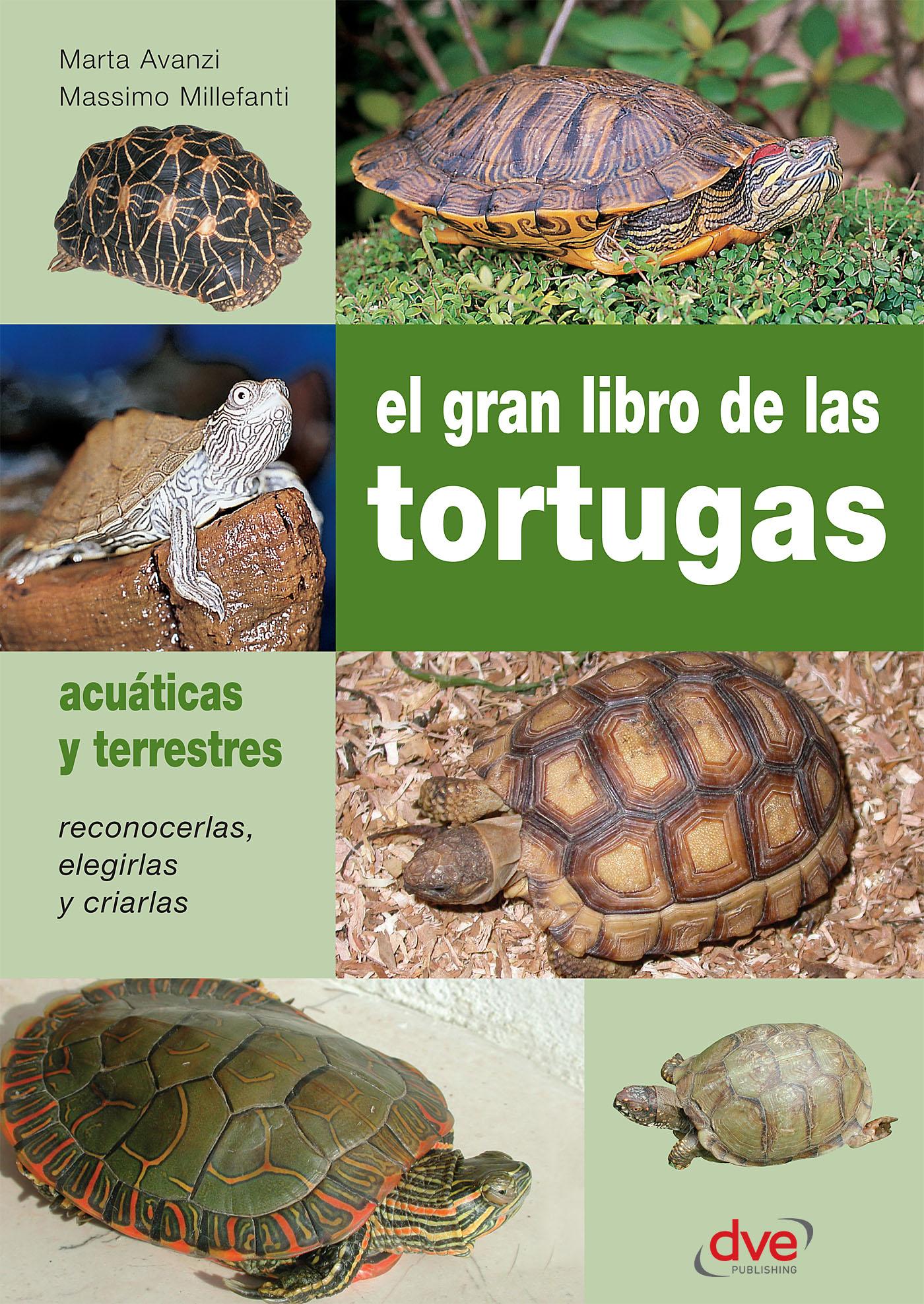 EL GRAN LIBRO DE LAS TORTUGAS