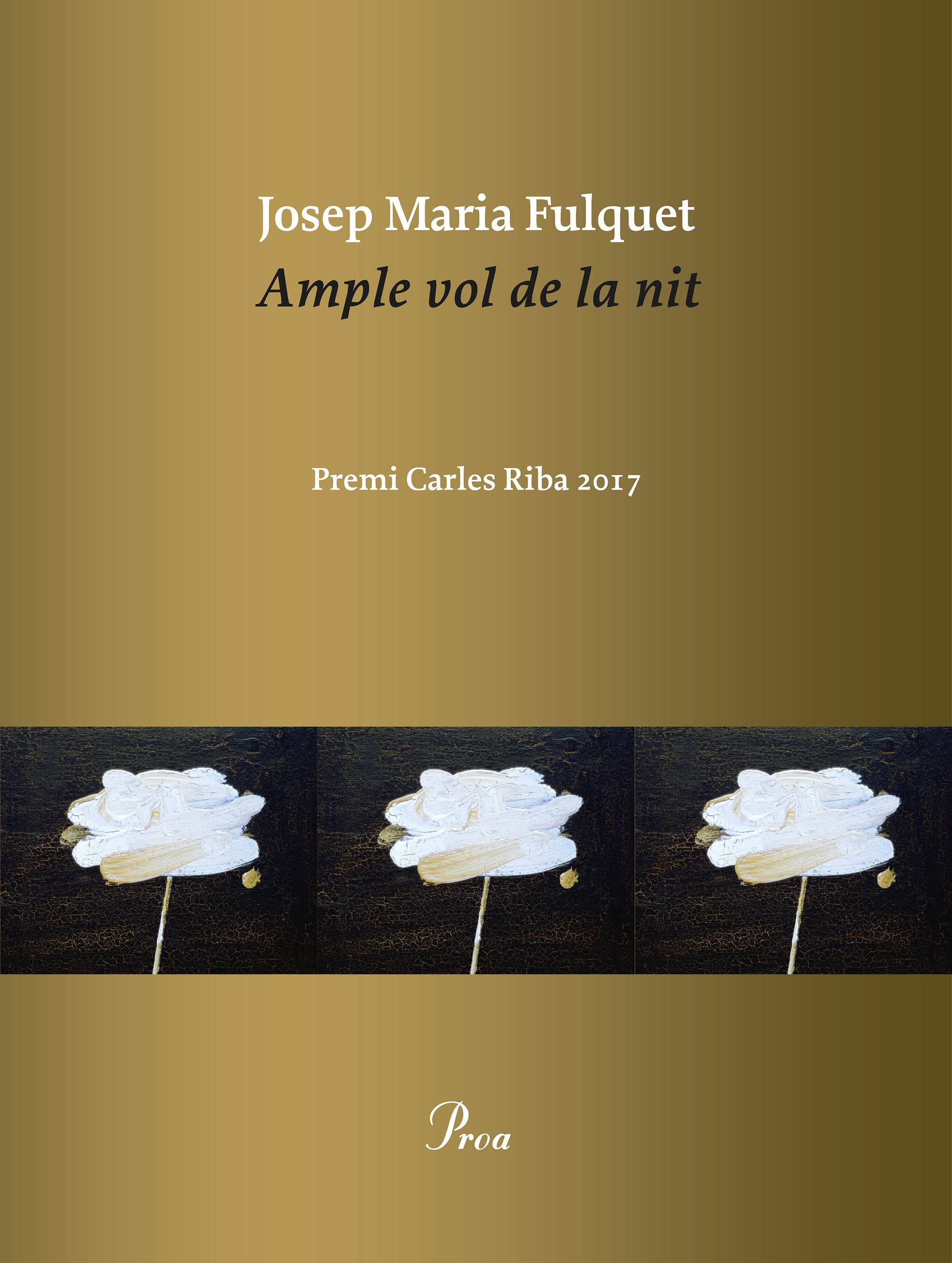 AMPLE VOL DE LA NIT