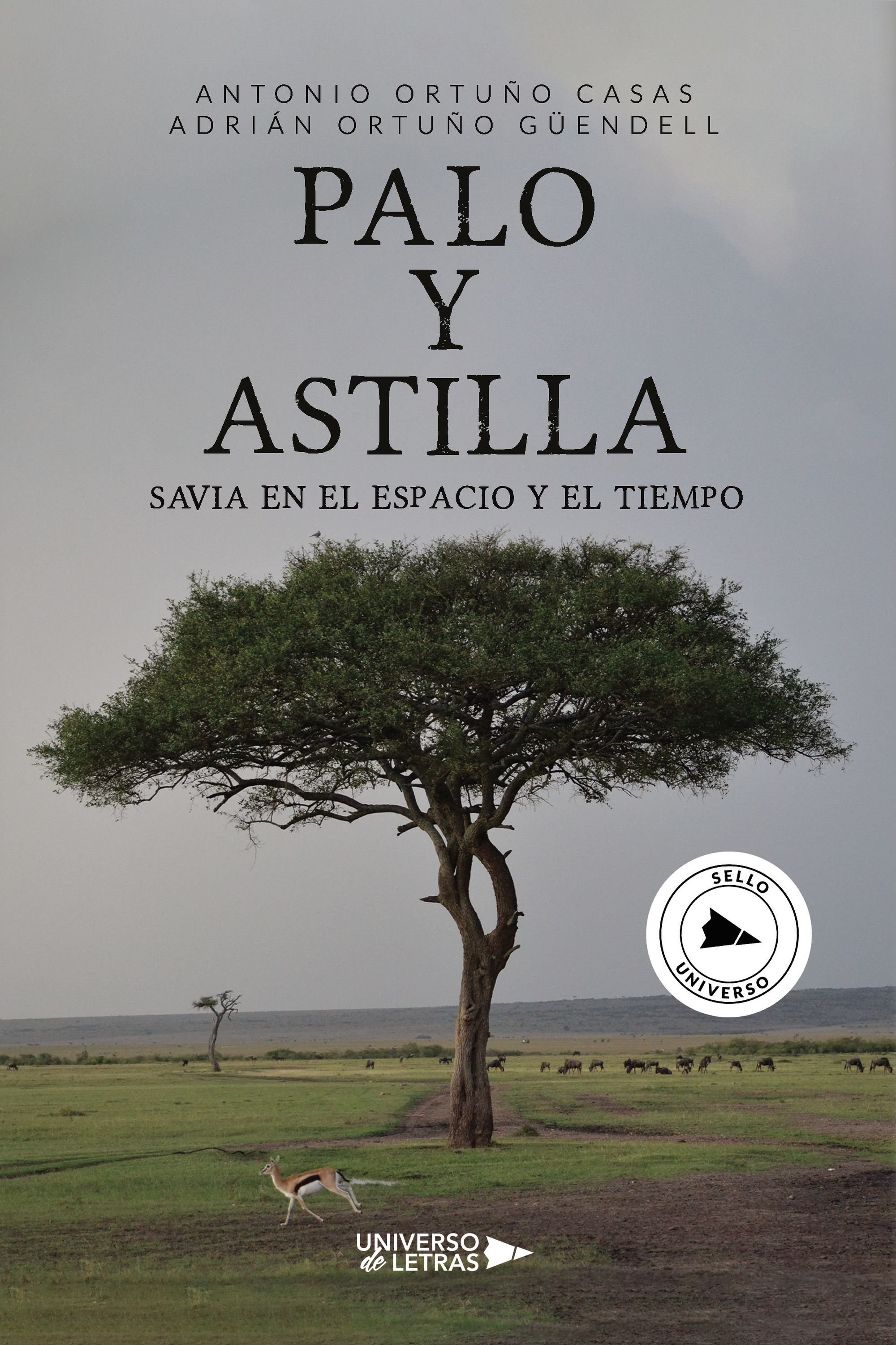 PALO Y ASTILLA