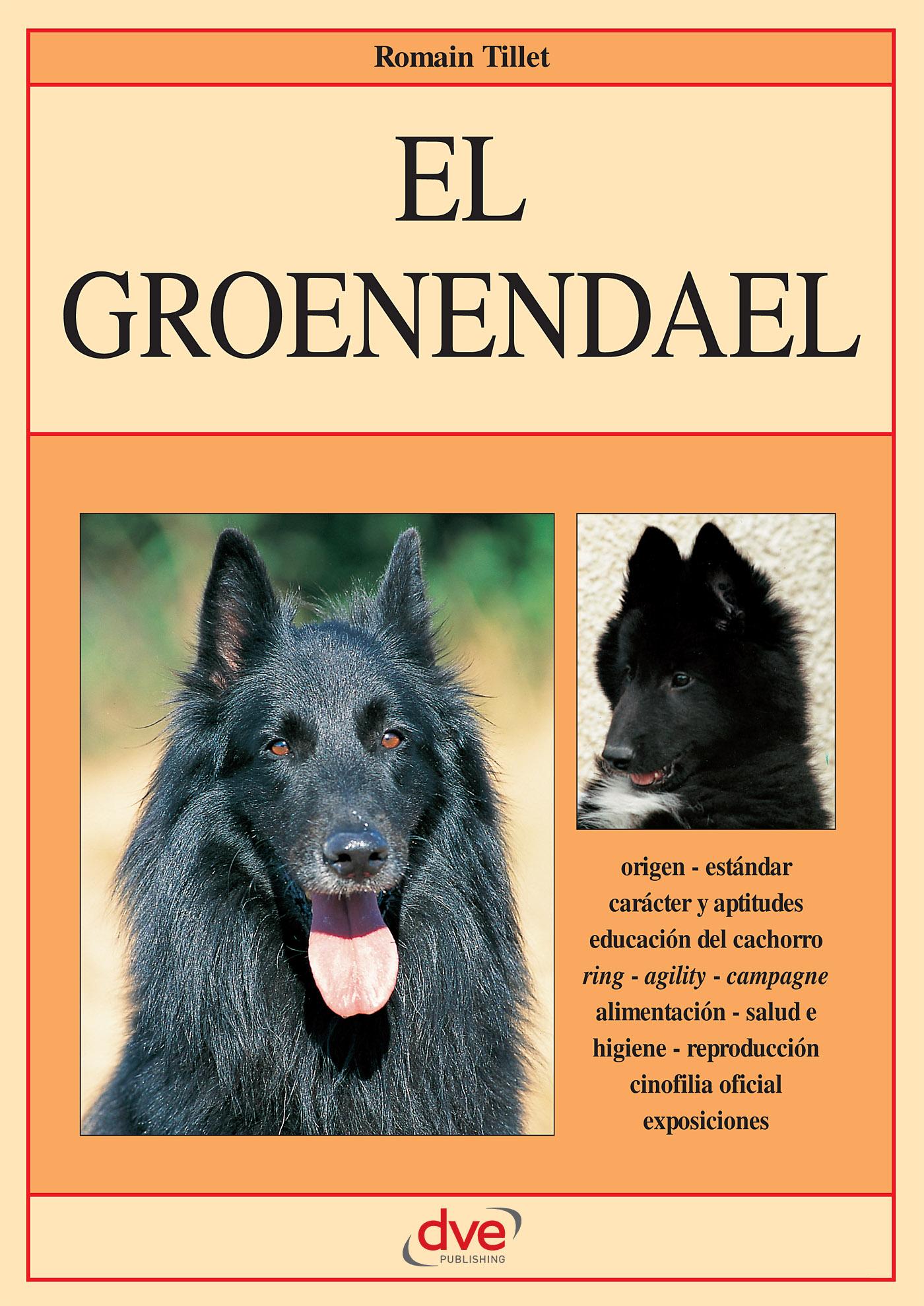 EL GROENENDAEL