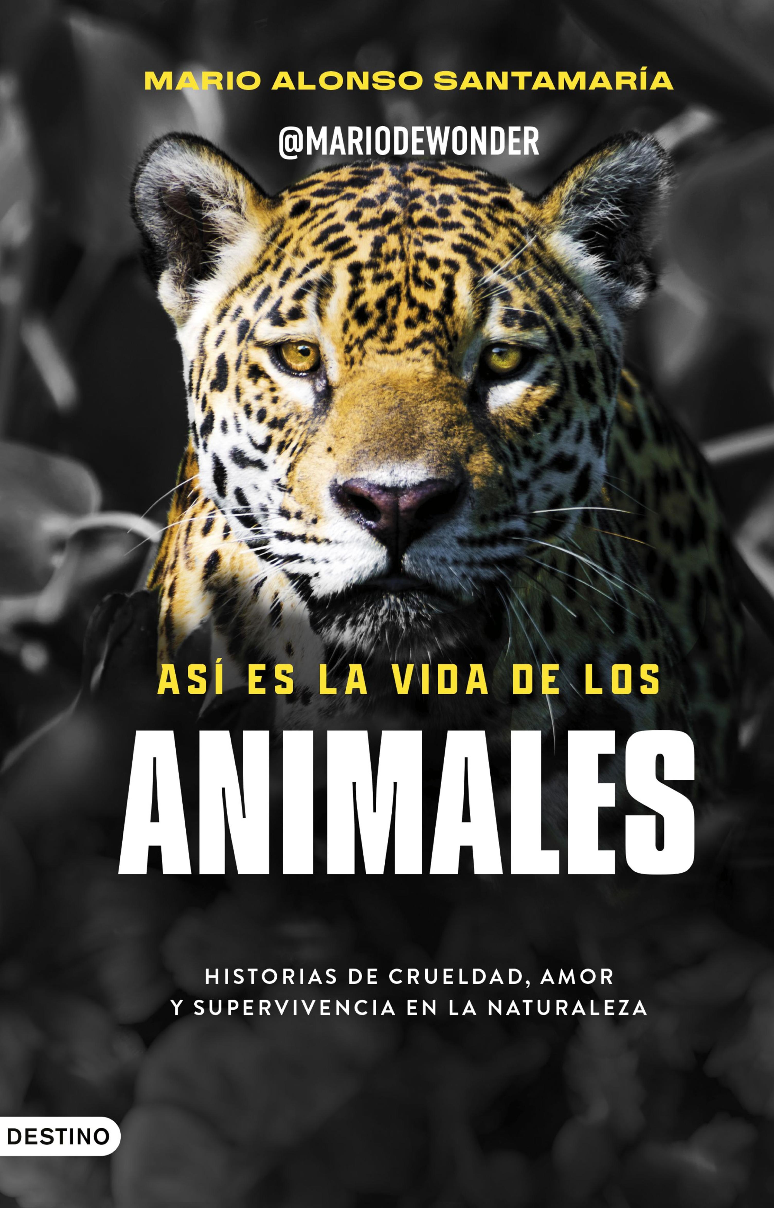 ASÍ ES LA VIDA DE LOS ANIMALES