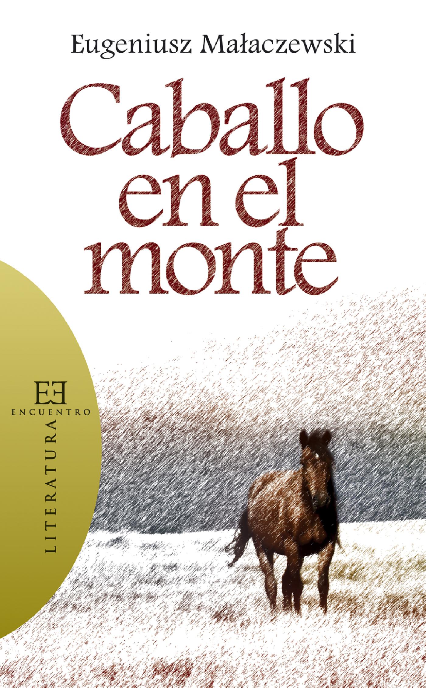 CABALLO EN EL MONTE 