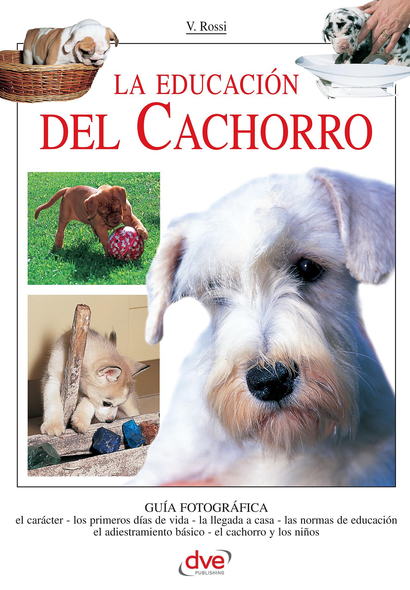 LA EDUCACIÓN DEL CACHORRO