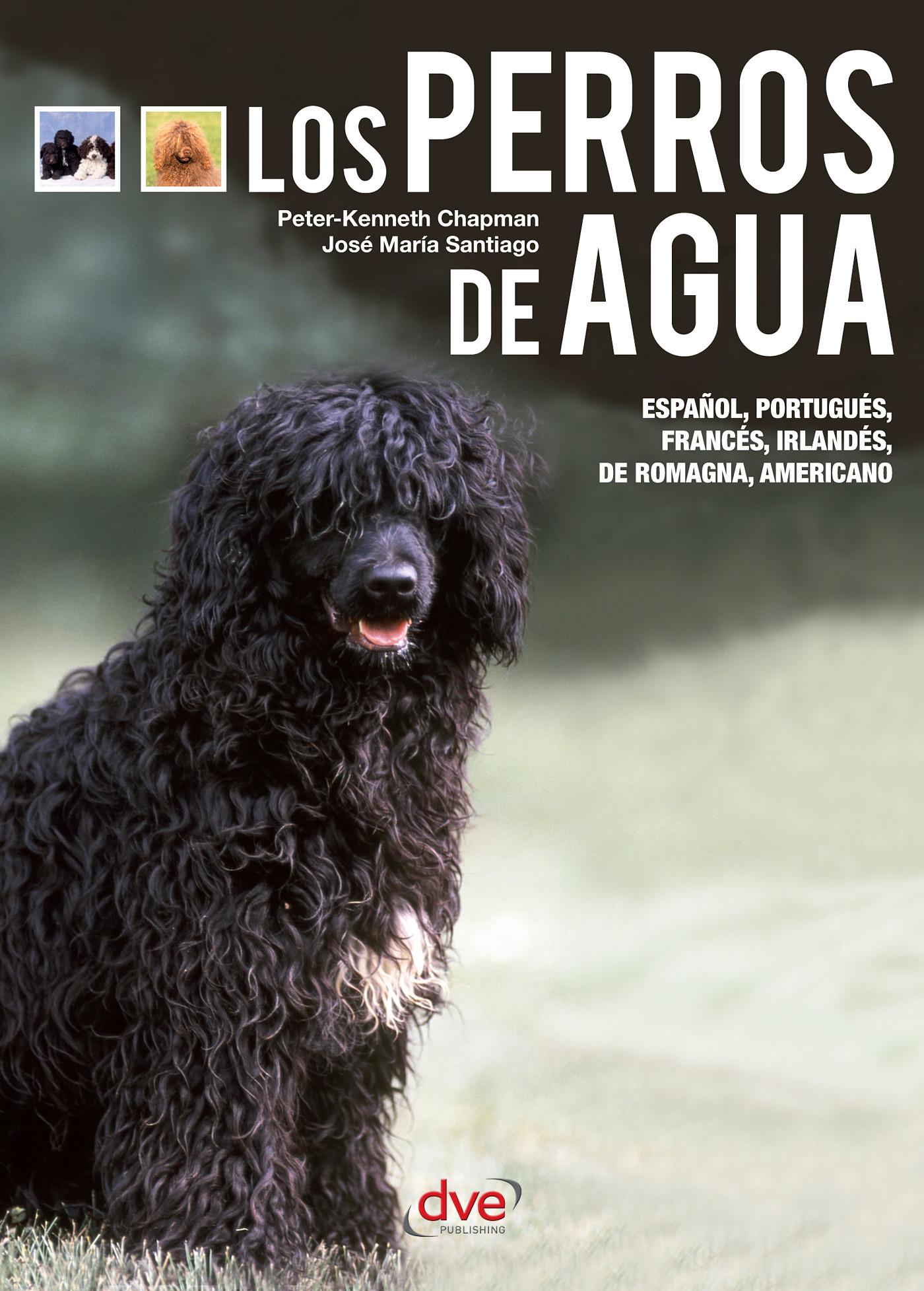 LOS PERROS DE AGUA - EL PERRO DE OBAMA