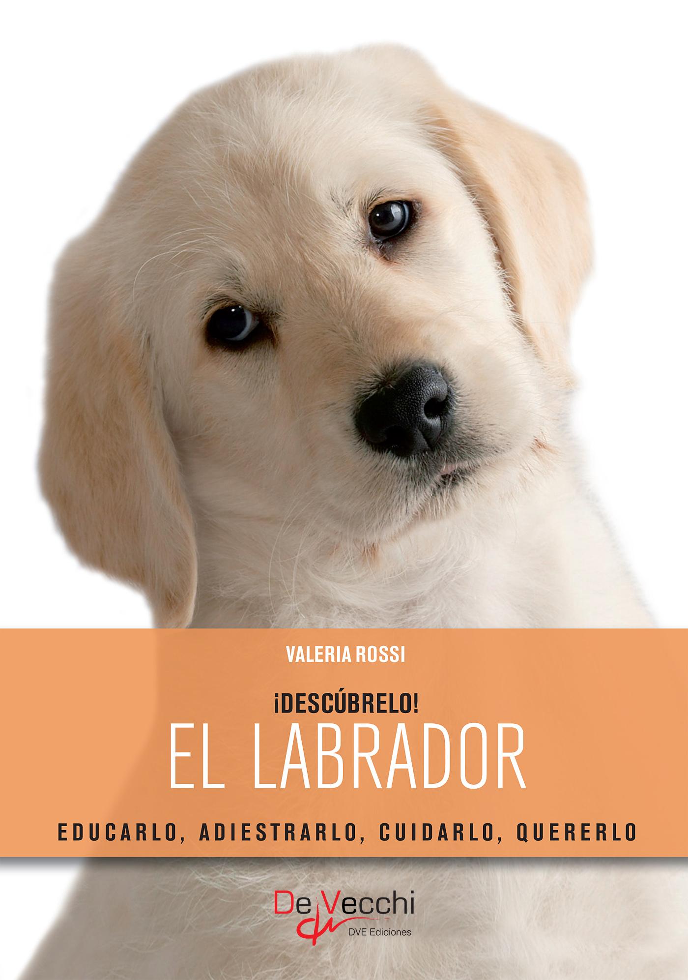 EL LABRADOR