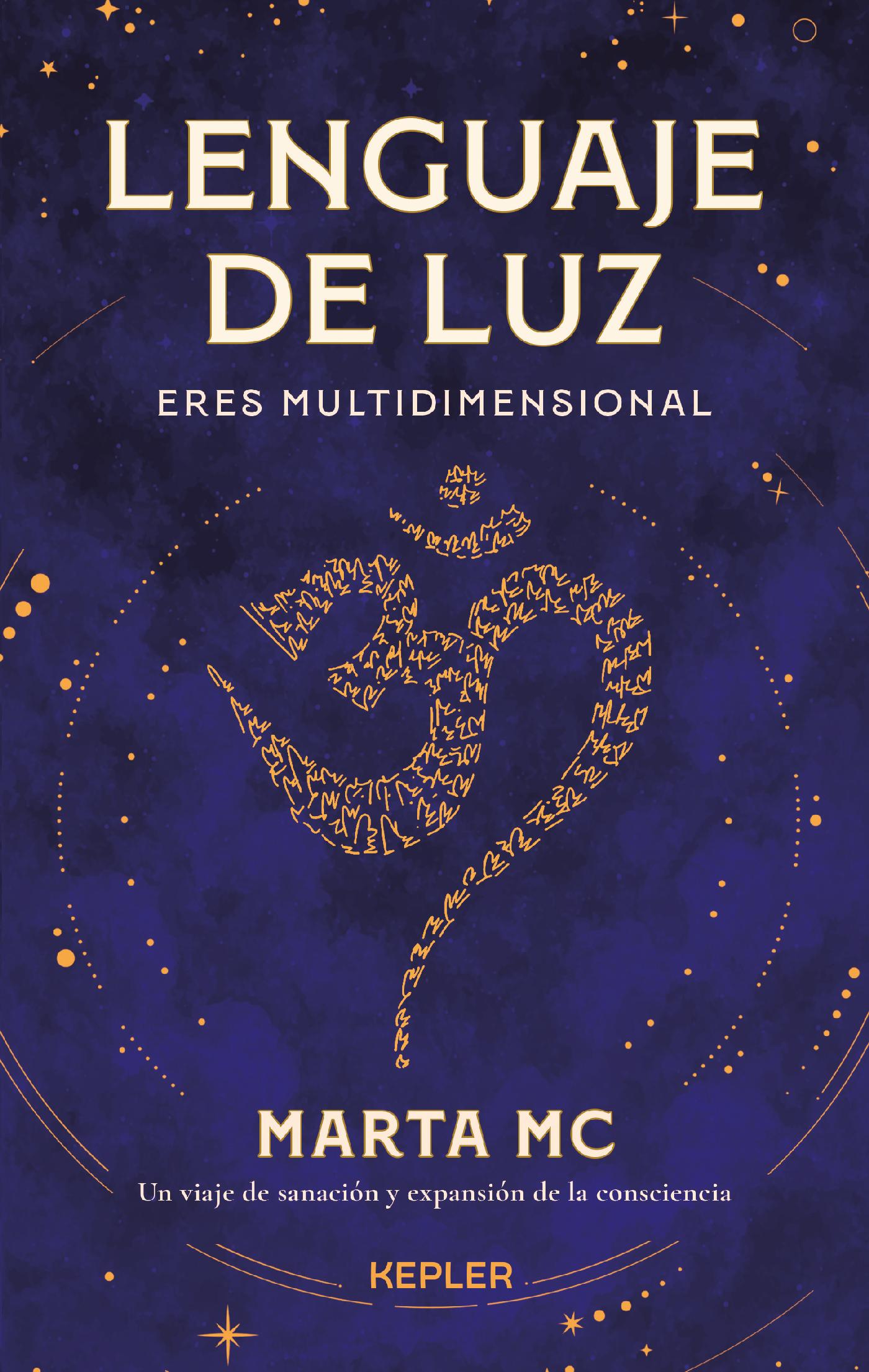LENGUAJE DE LUZ