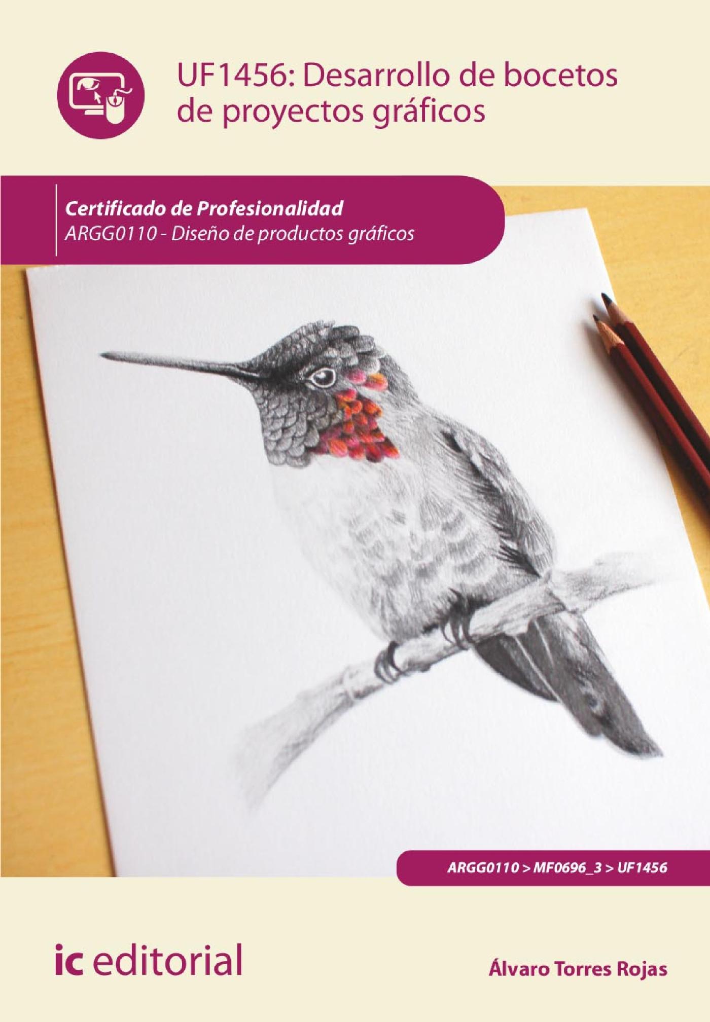 DESARROLLO DE BOCETOS DE PROYECTOS GRÁFICOS. ARGG0110