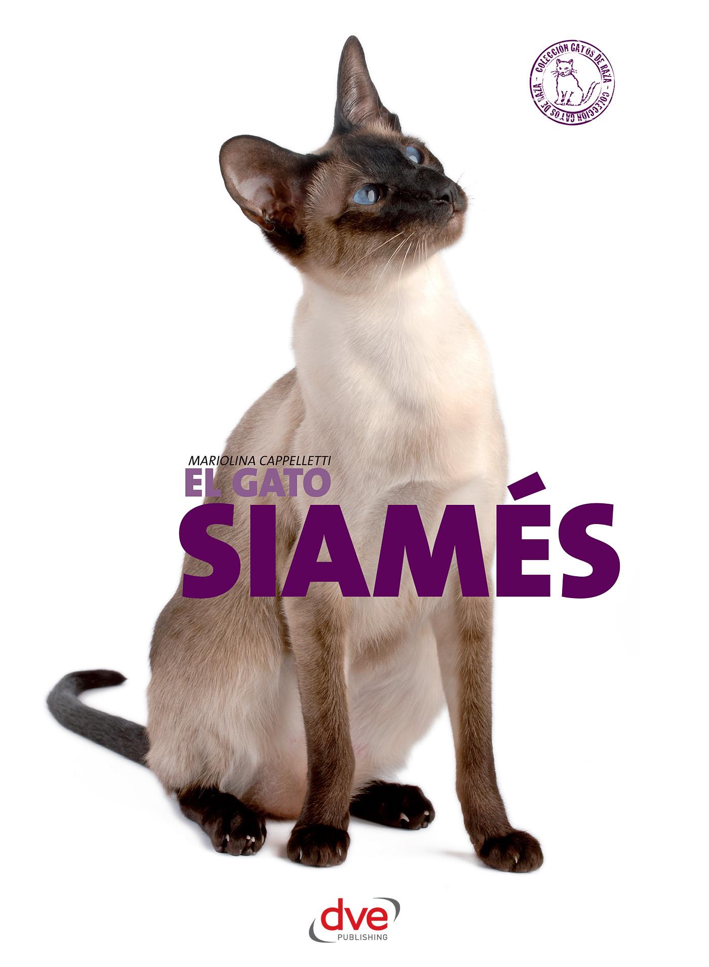 EL GATO SIAMÉS