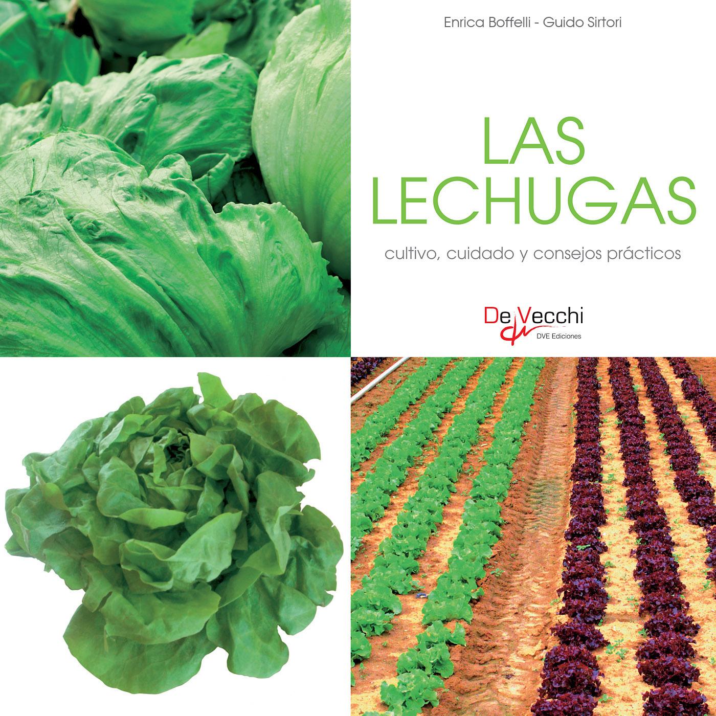 LAS LECHUGAS - CULTIVO, CUIDADO Y CONDEJOS PRÁCTICOS