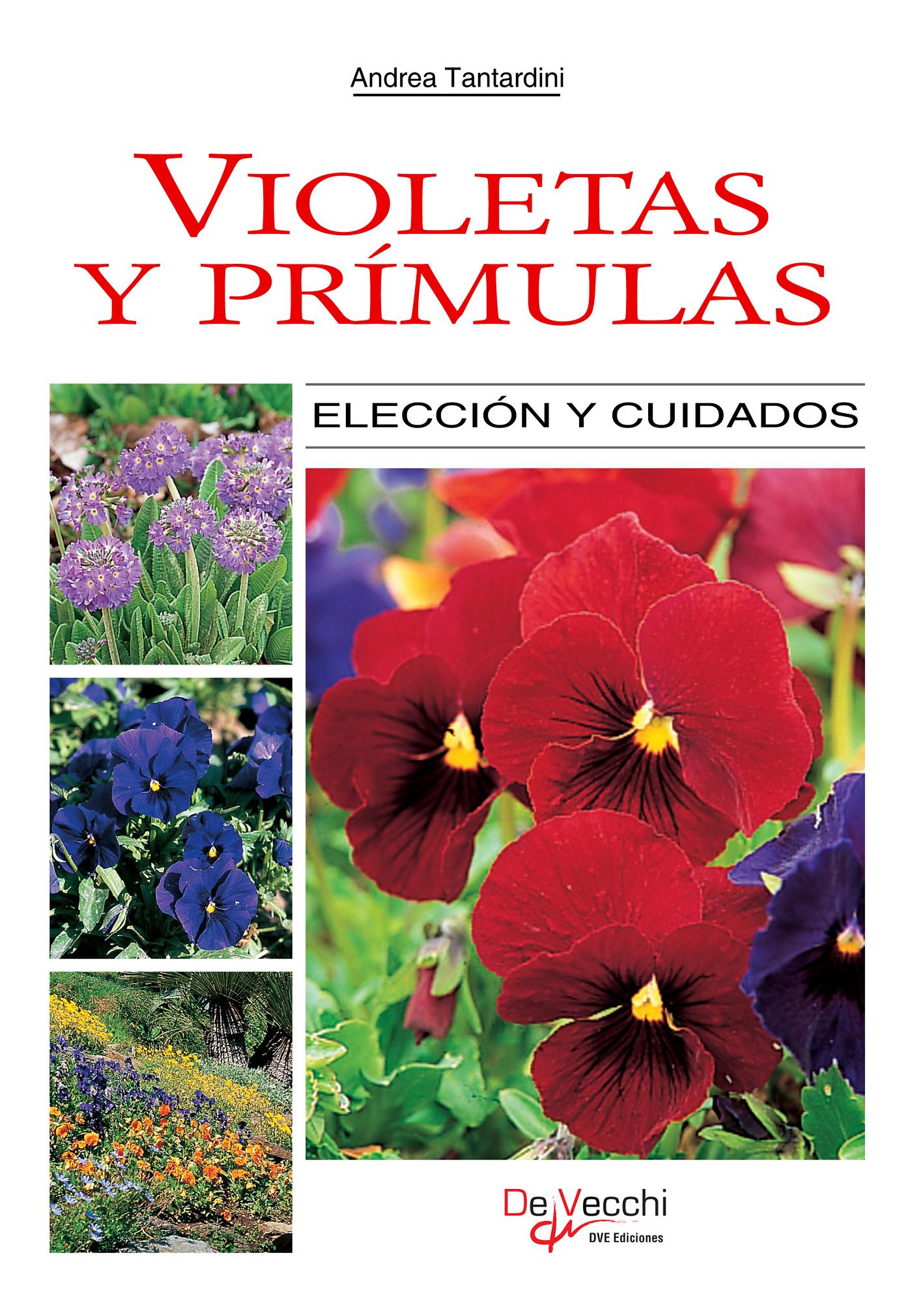 Violetas y Prímulas