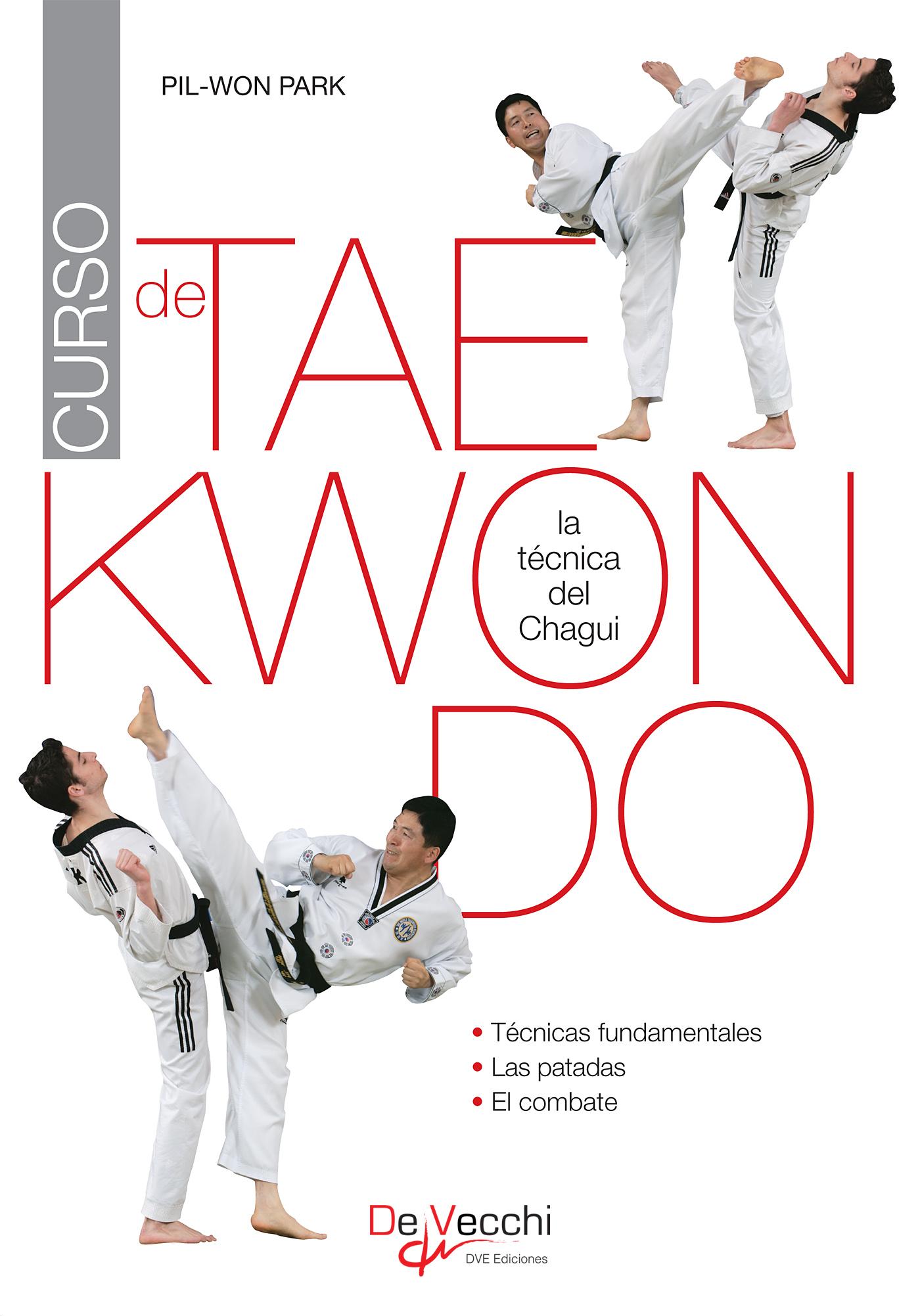 CURSO DE TAEKWONDO