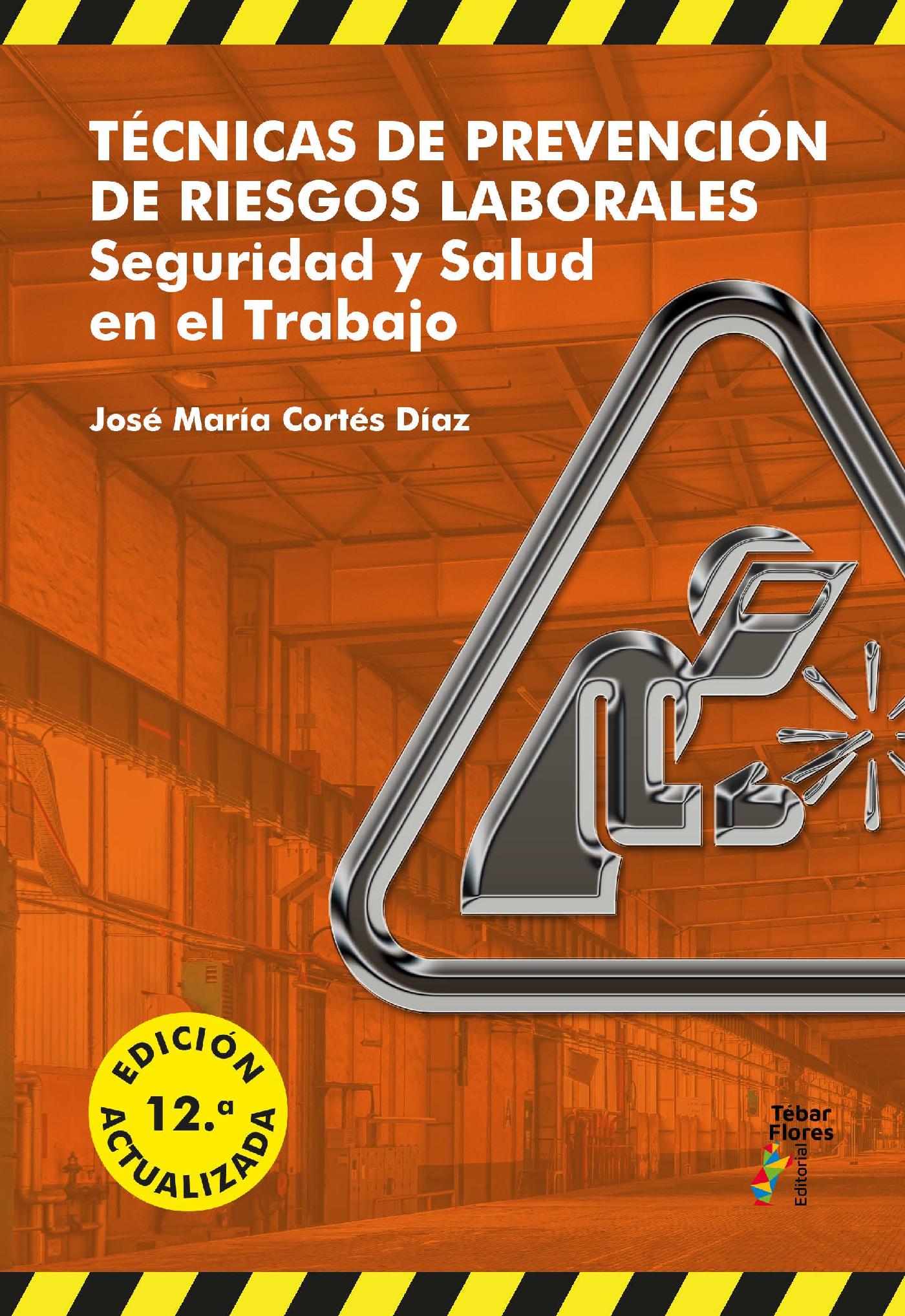 TÉCNICAS DE PREVENCIÓN DE RIESGOS LABORALES (12ª ED)