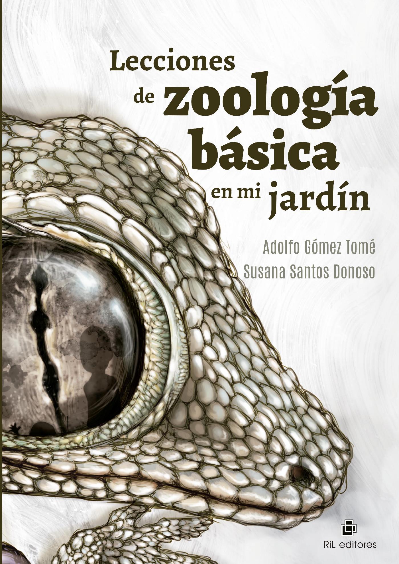 LECCIONES DE ZOOLOGÍA BÁSICA EN MI JARDÍN