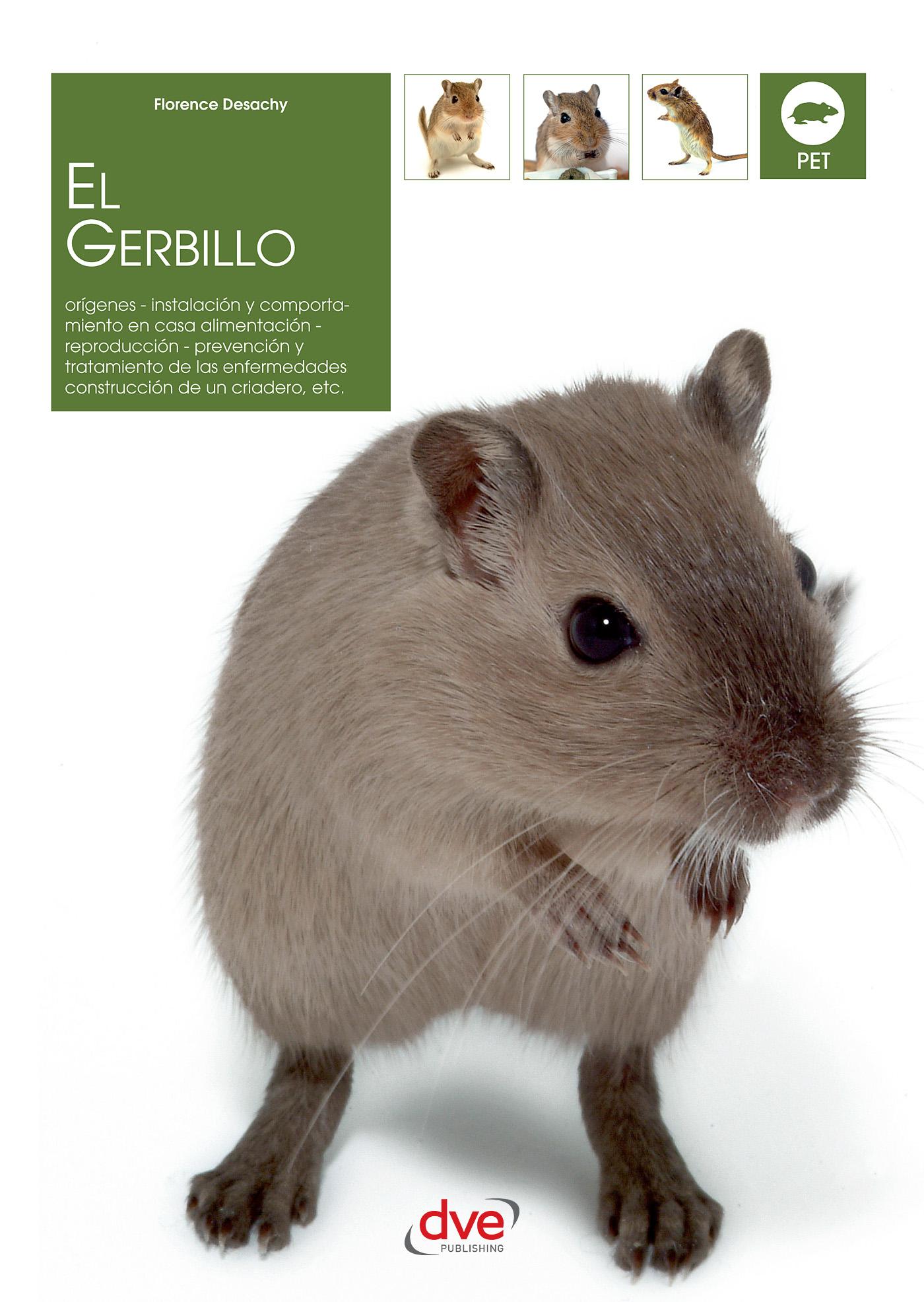 EL GERBILLO