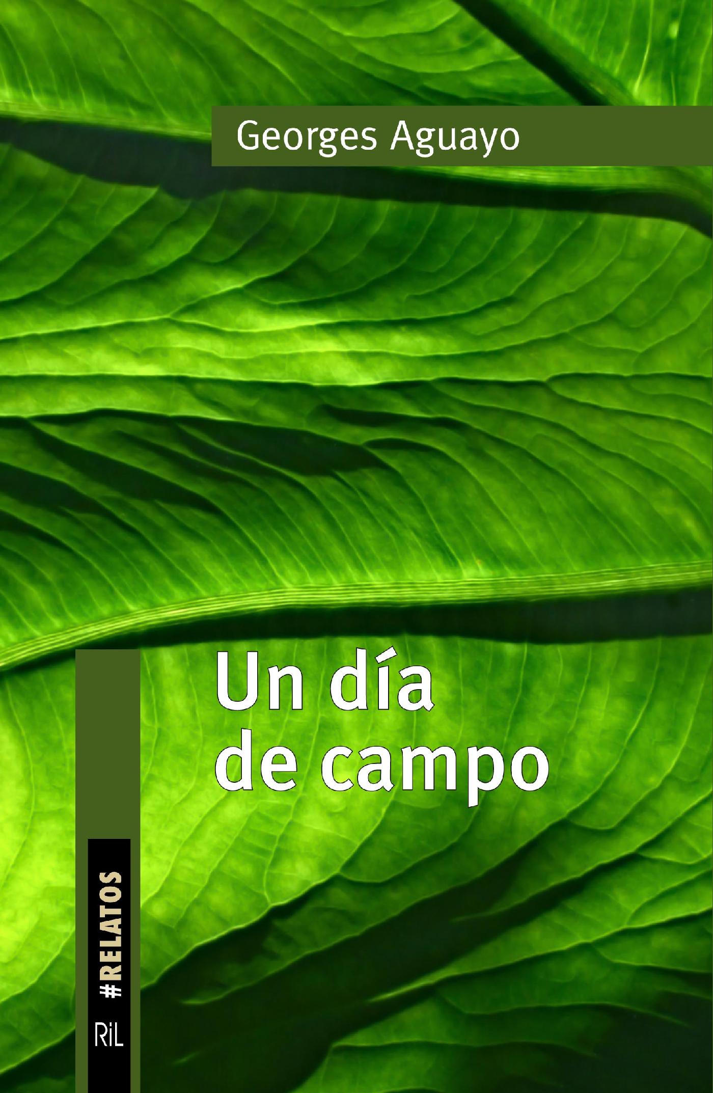UN DÍA DE CAMPO